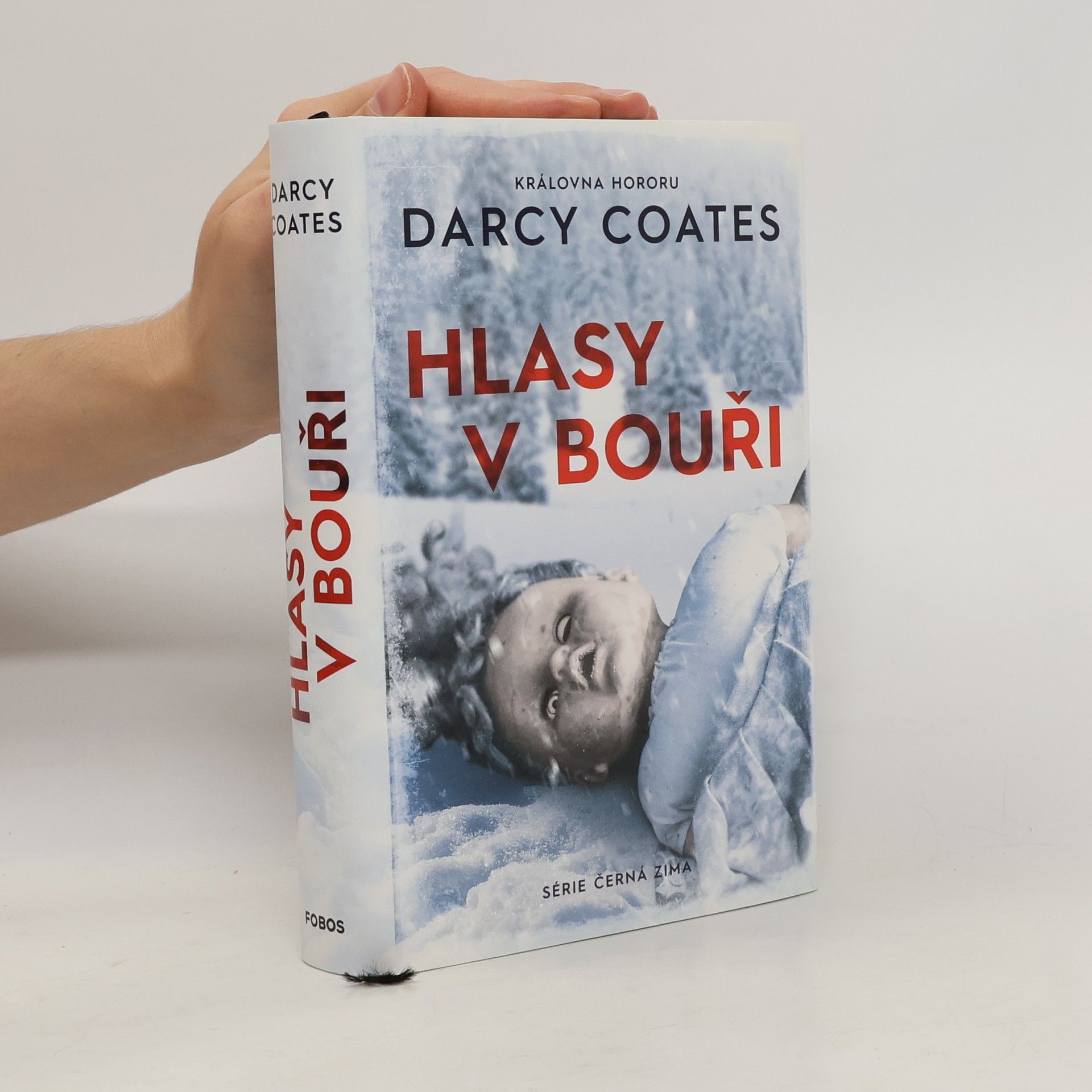 Darcy Coates Hlasy v bouři