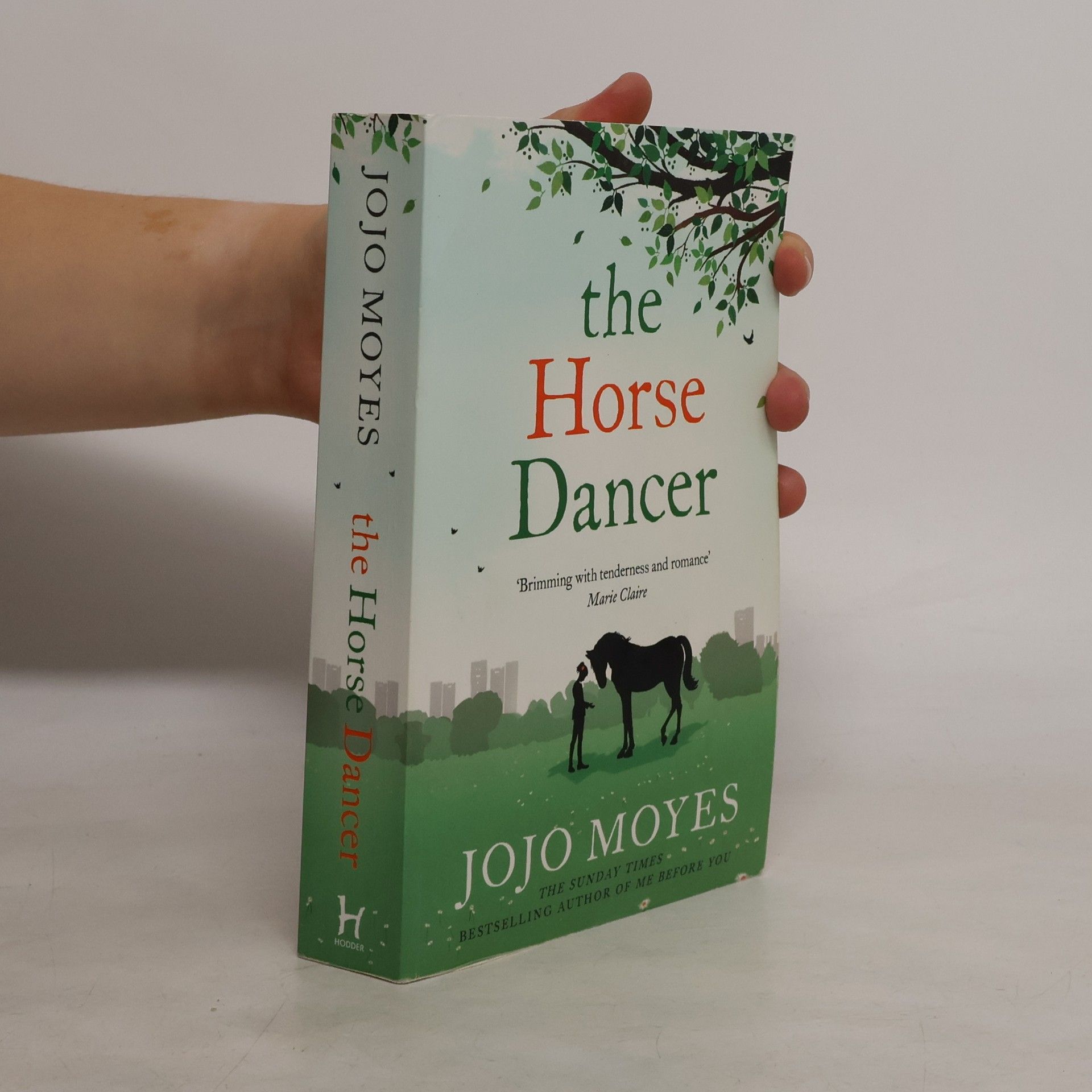 Jojo Moyesová The Horse Dancer