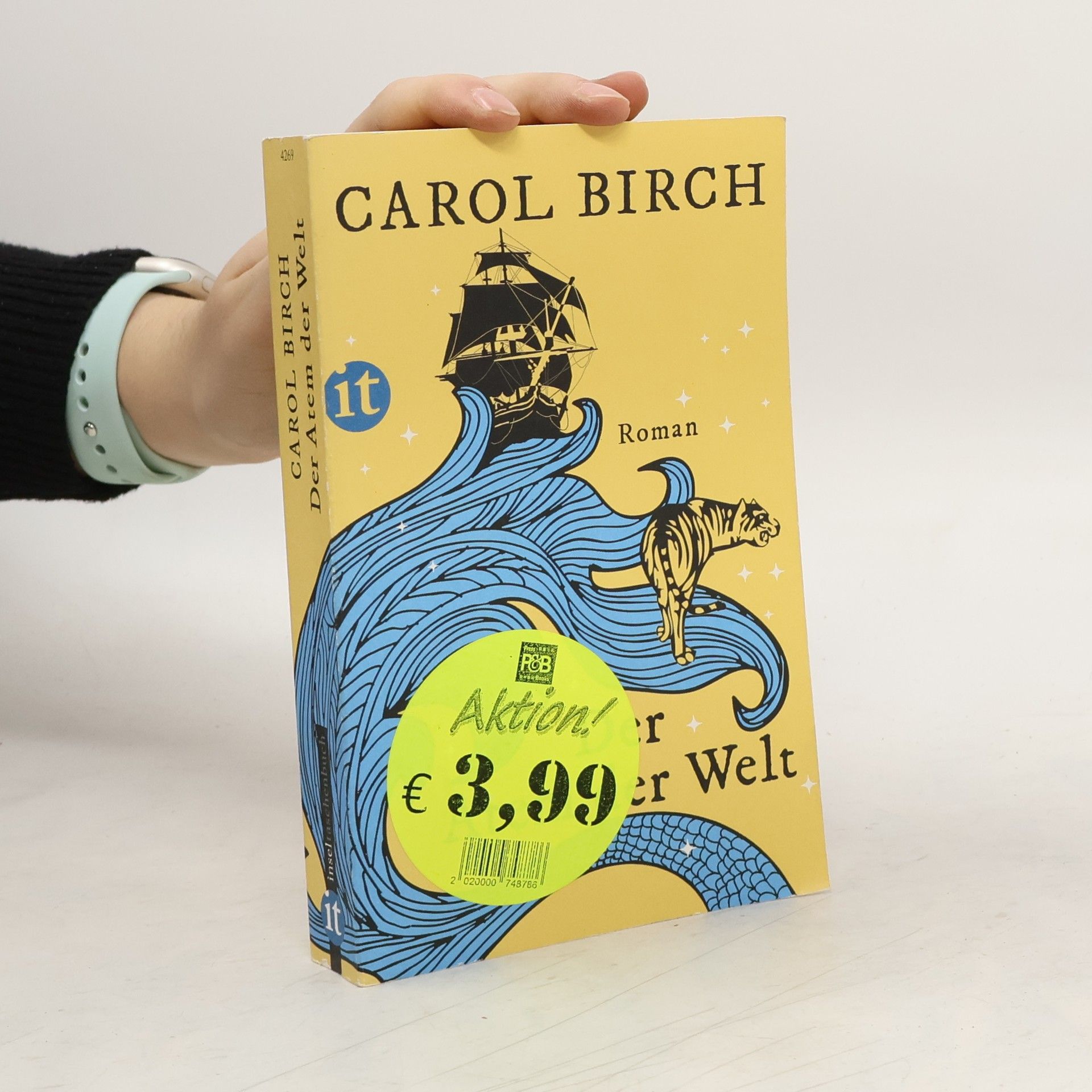 Carol Birch Der Atem der Welt