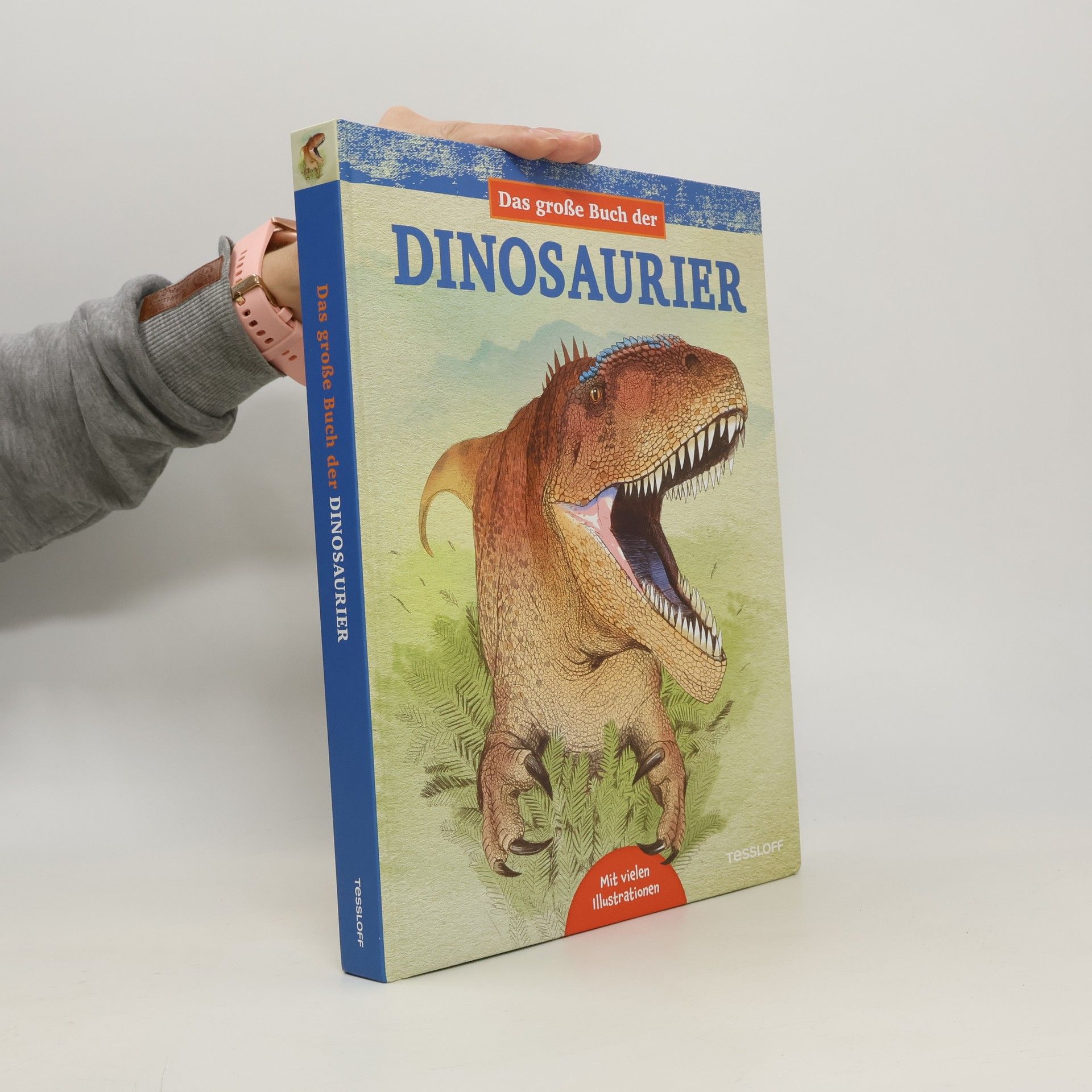 Juan Carlos Alonso Das große Buch der Dinosaurier