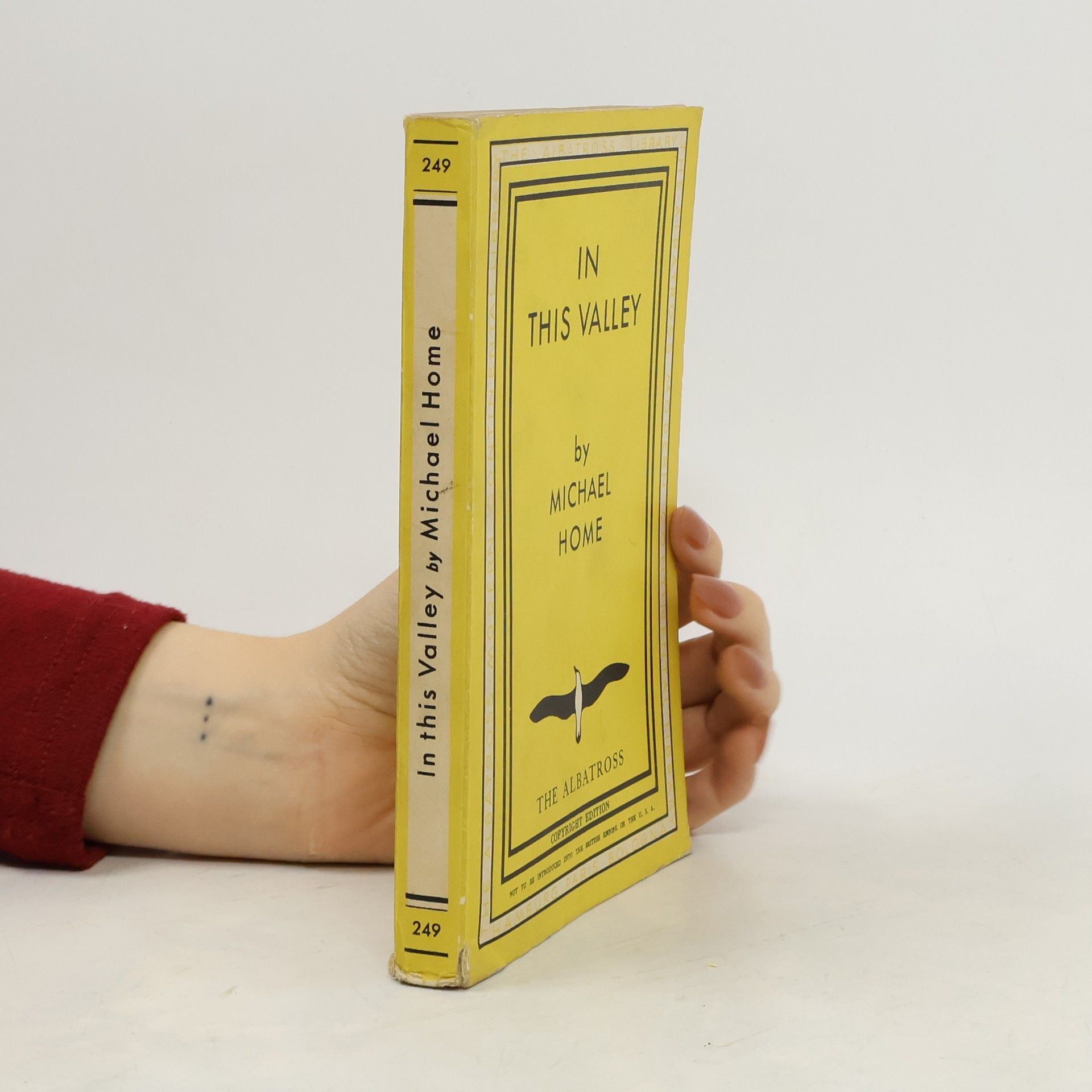 Michael Home In This Valley