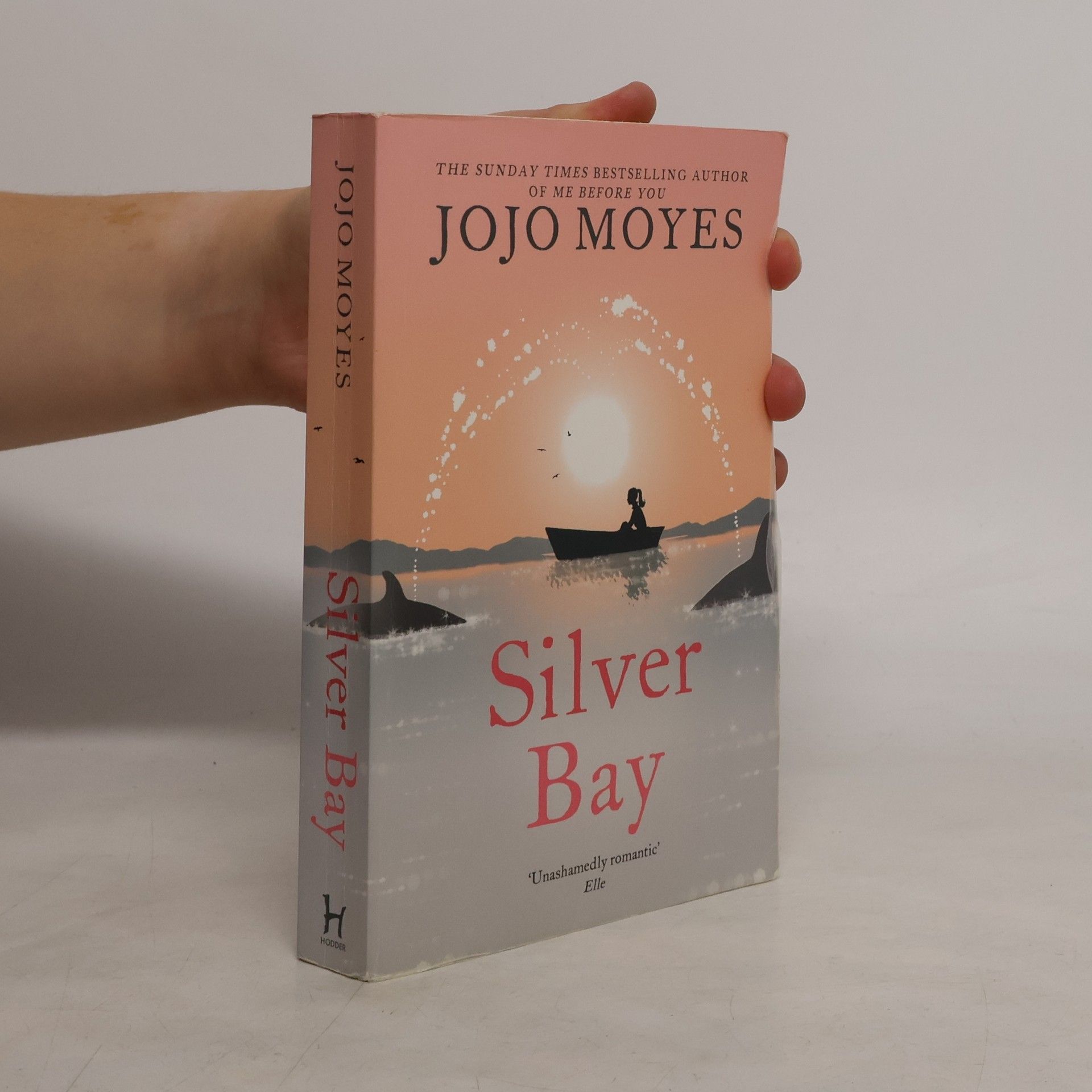 Jojo Moyesová Silver Bay