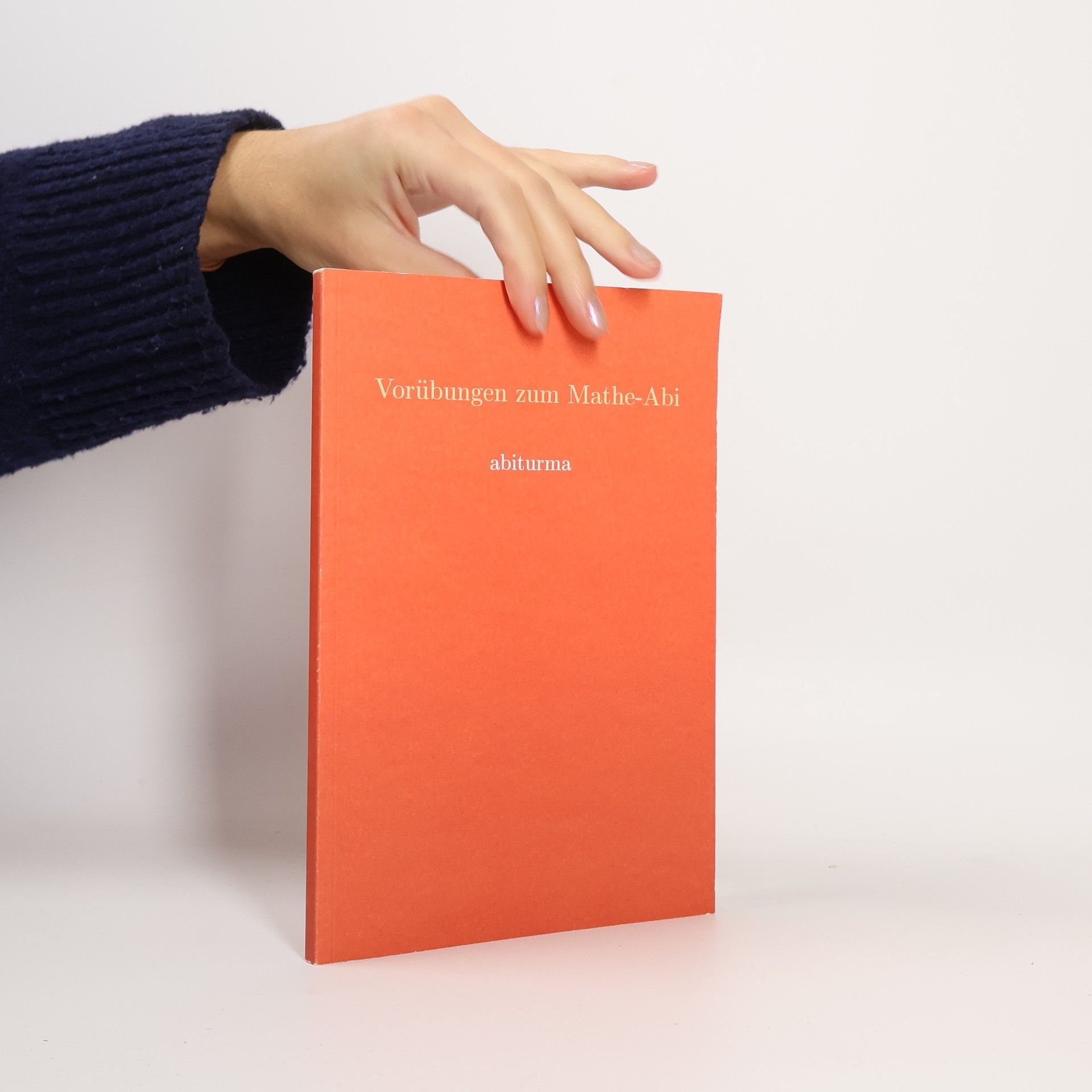 Kolektív autorov Vorübungen zum Mathe-Abi