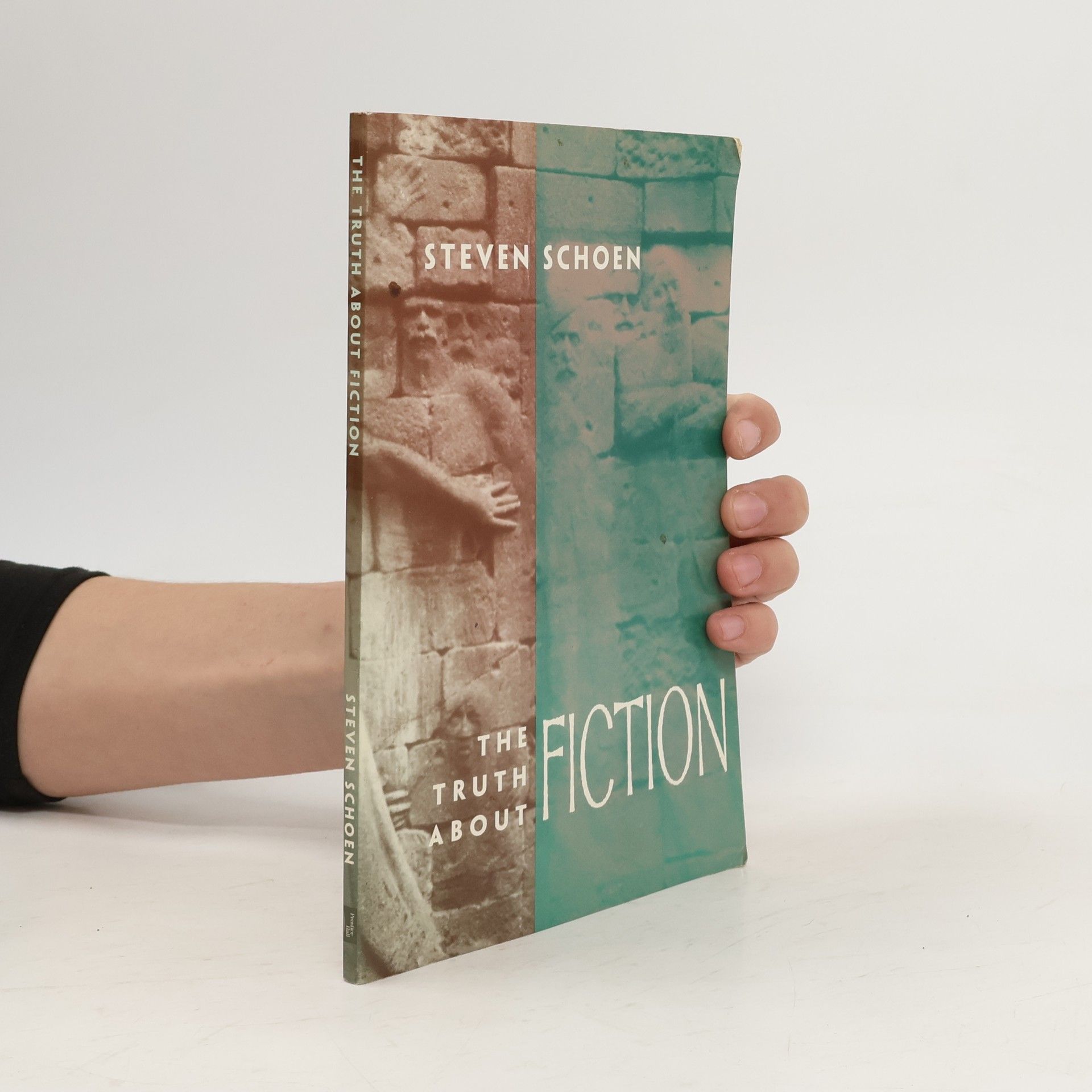 Steven Schoen The Truth About Fiction