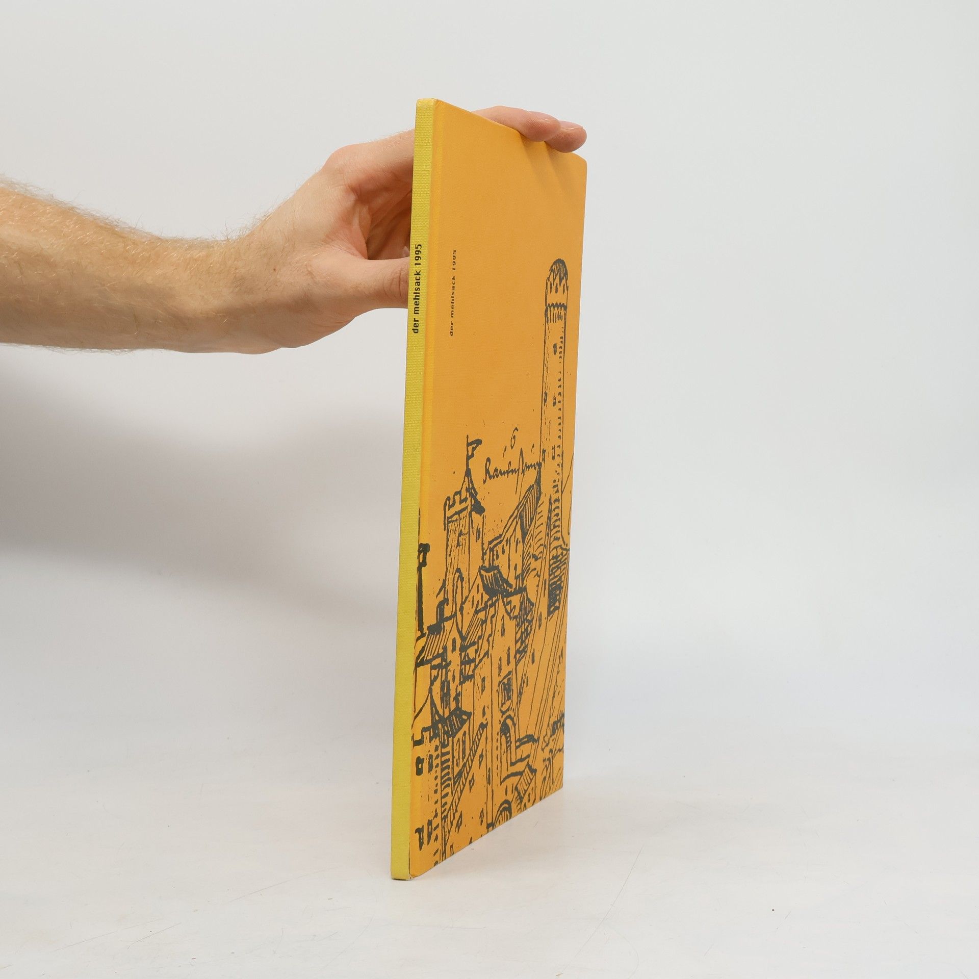 Günter Franz Der Mehlsack 1995