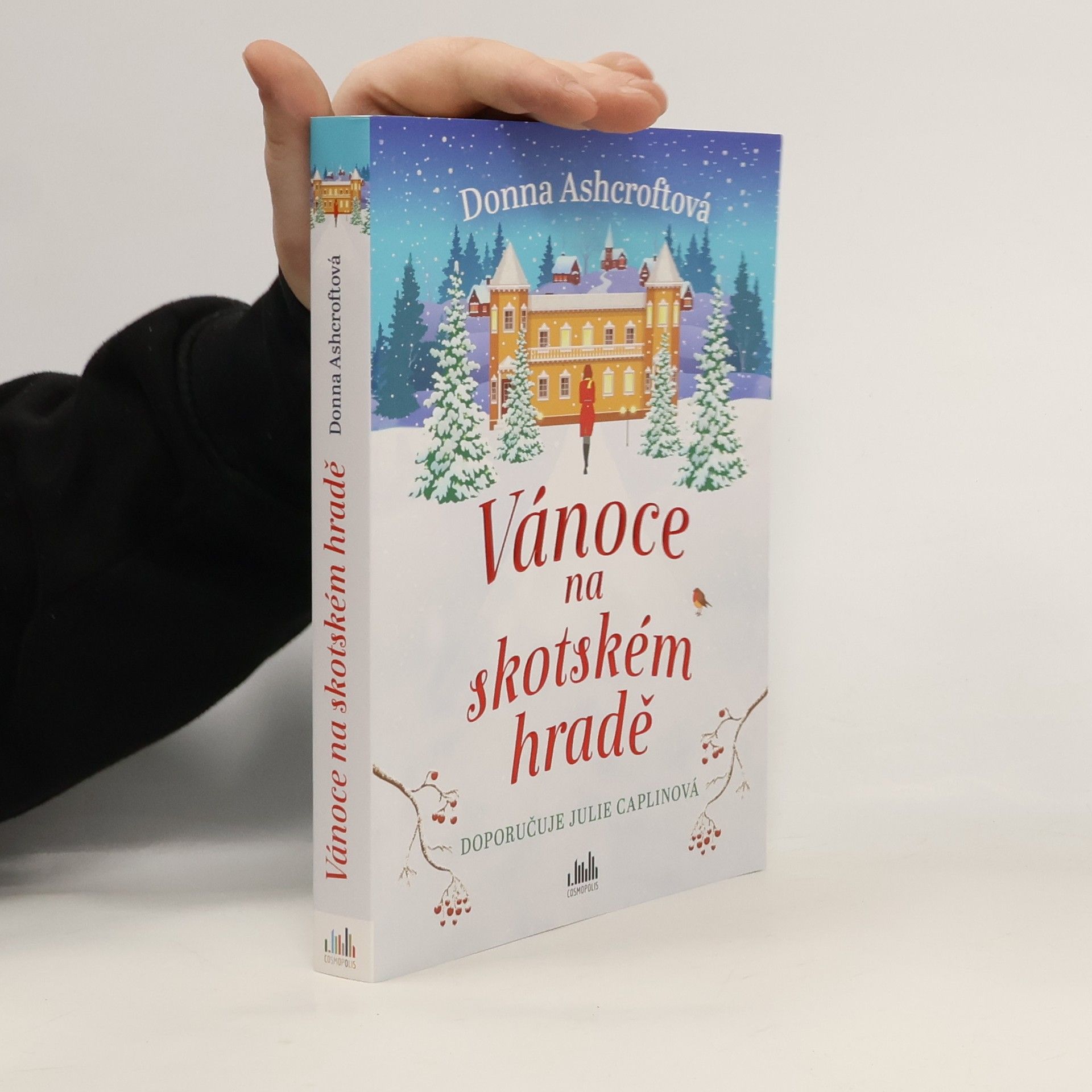 Donna Ashcroft Vánoce na skotském hradě