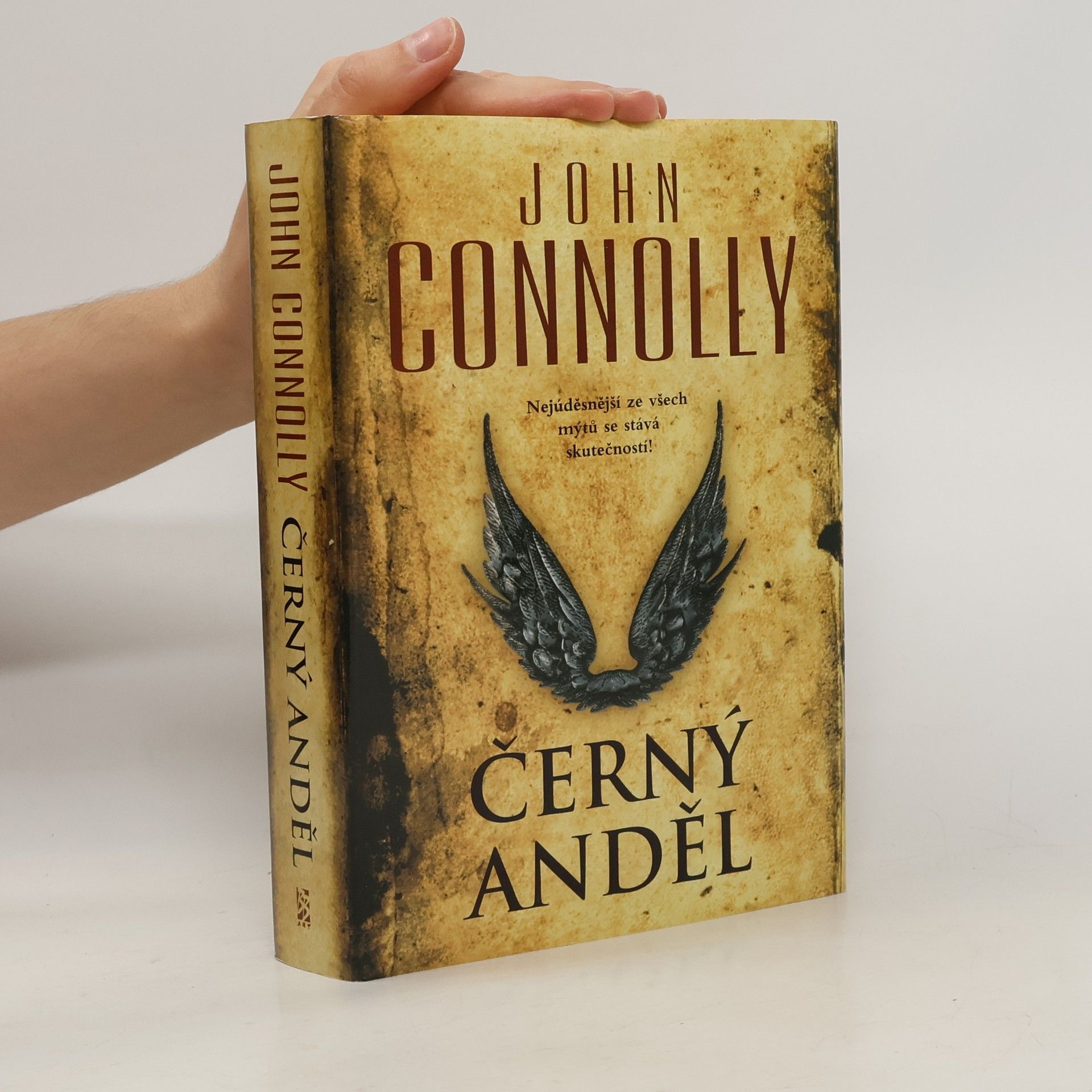 John Connolly Černý anděl