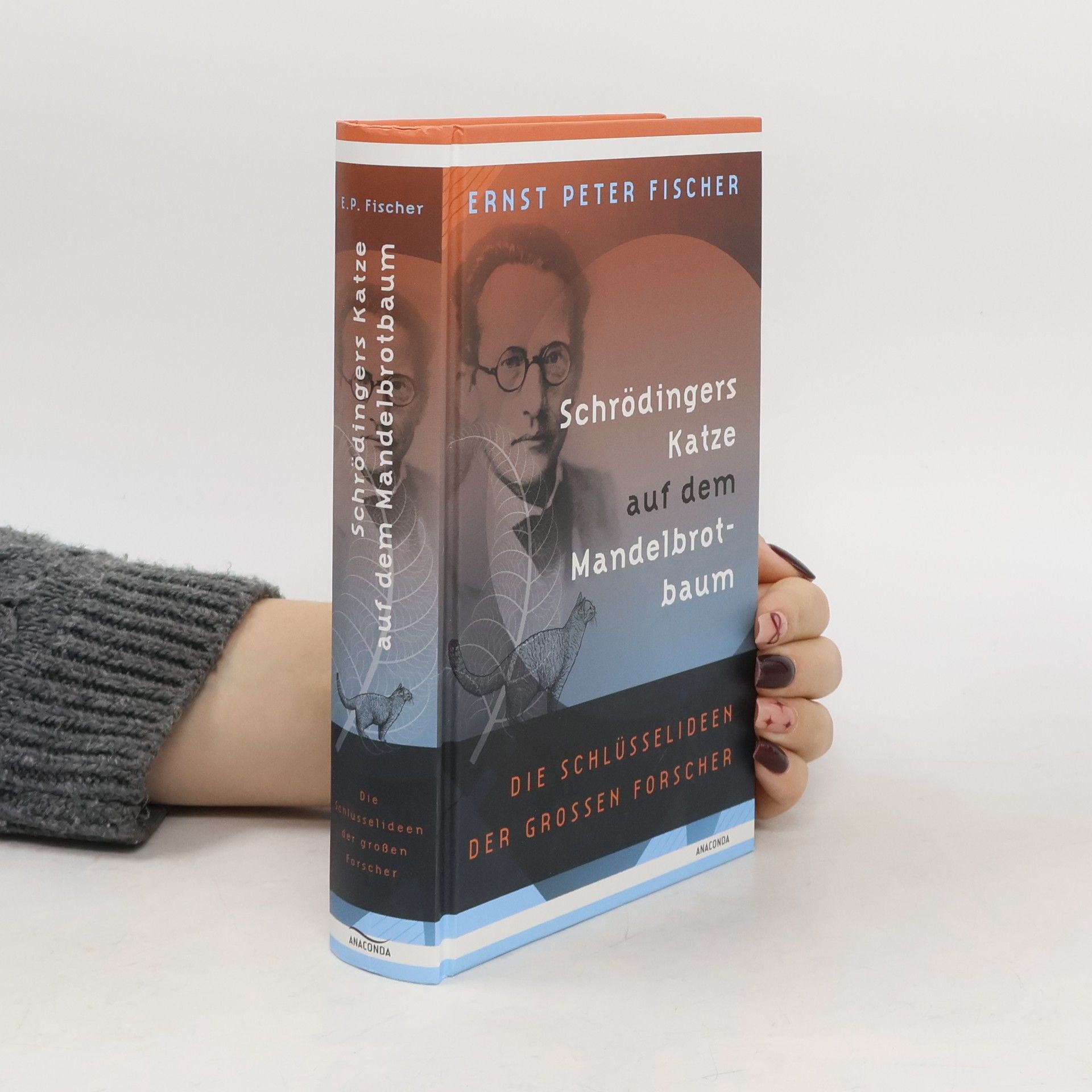 Schrödingers Katze auf dem Mandelbrotbaum. Die Schlüsselideen der großen Forscher