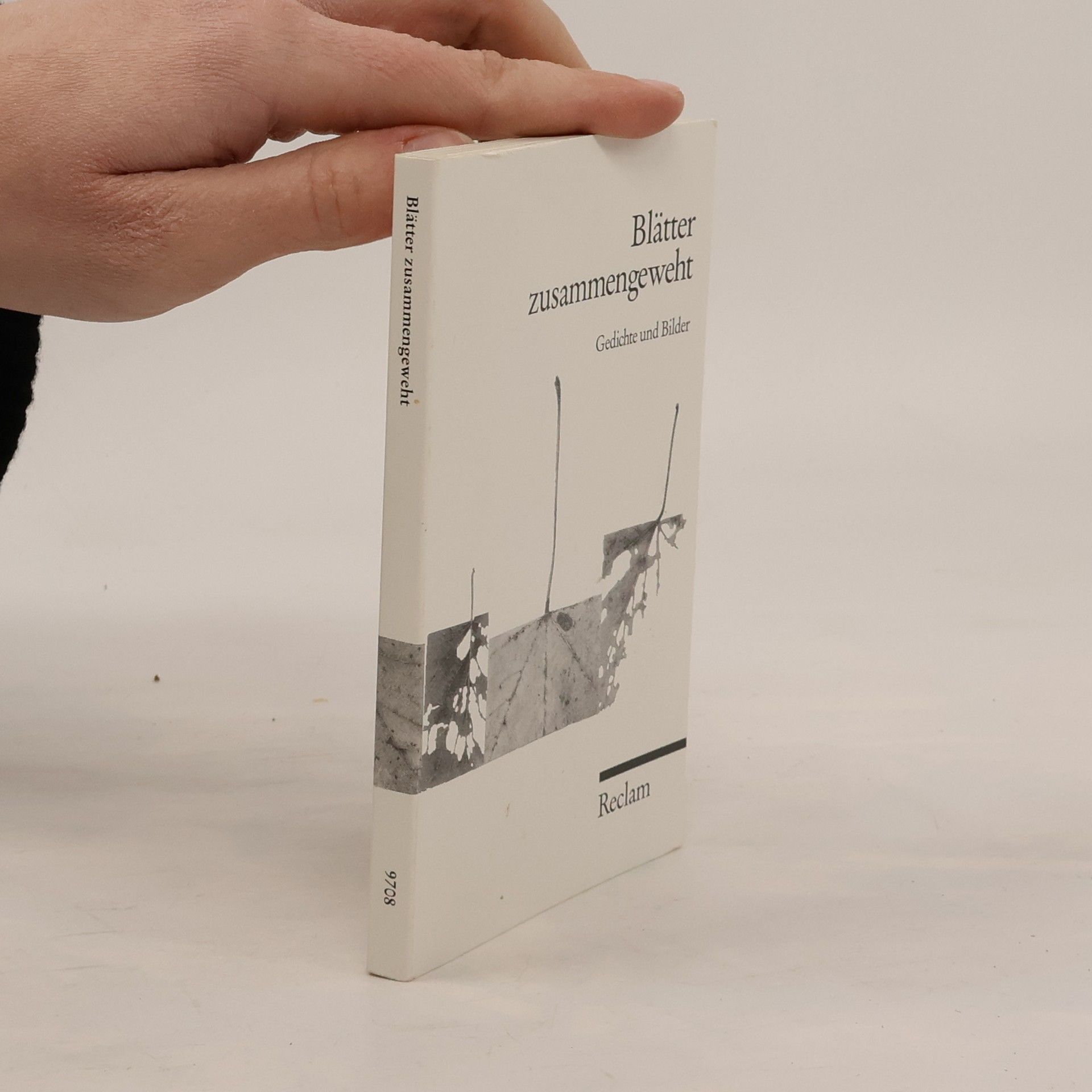 Ulrichadolf Namislow Blätter zusammengeweht