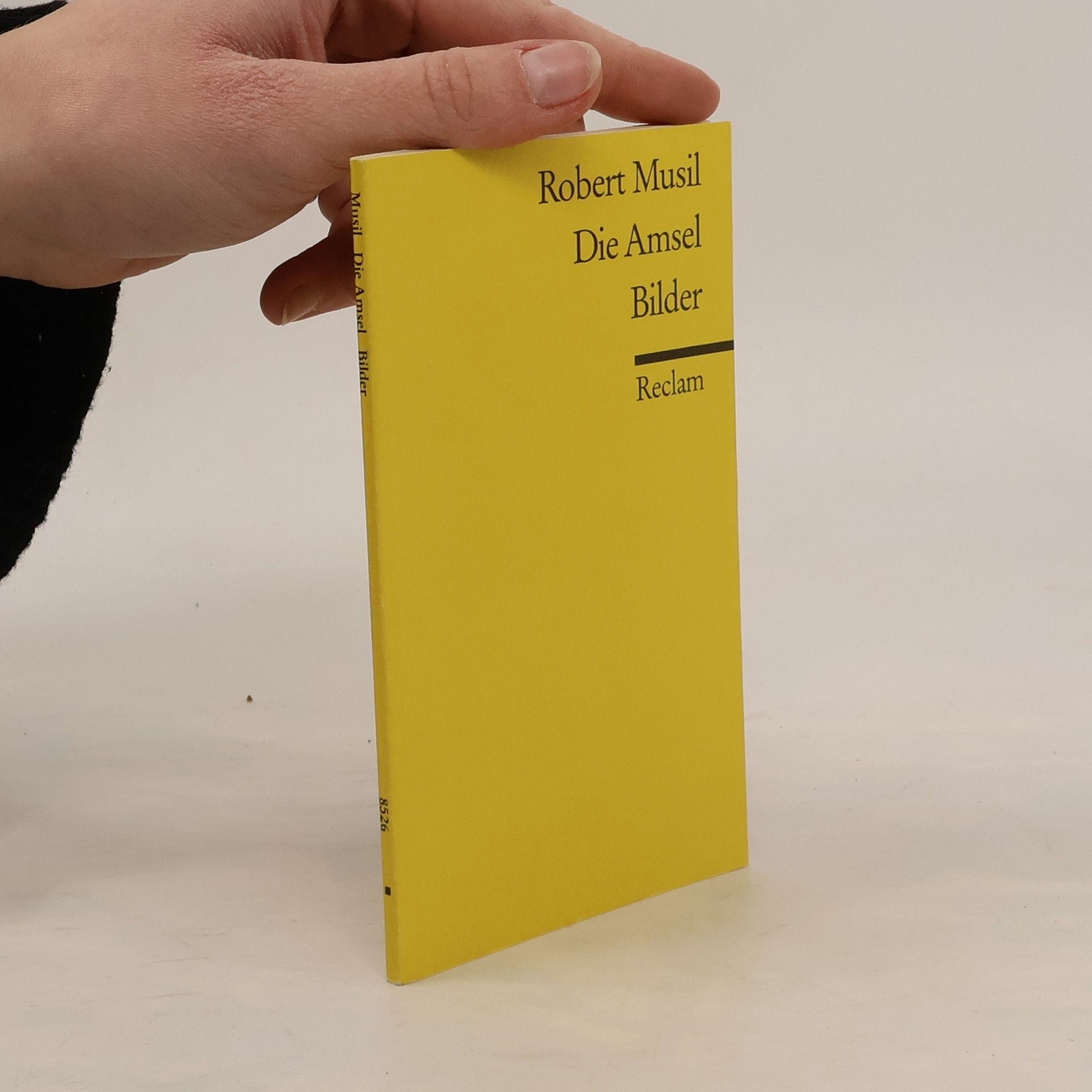 Robert Musil Die Amsel