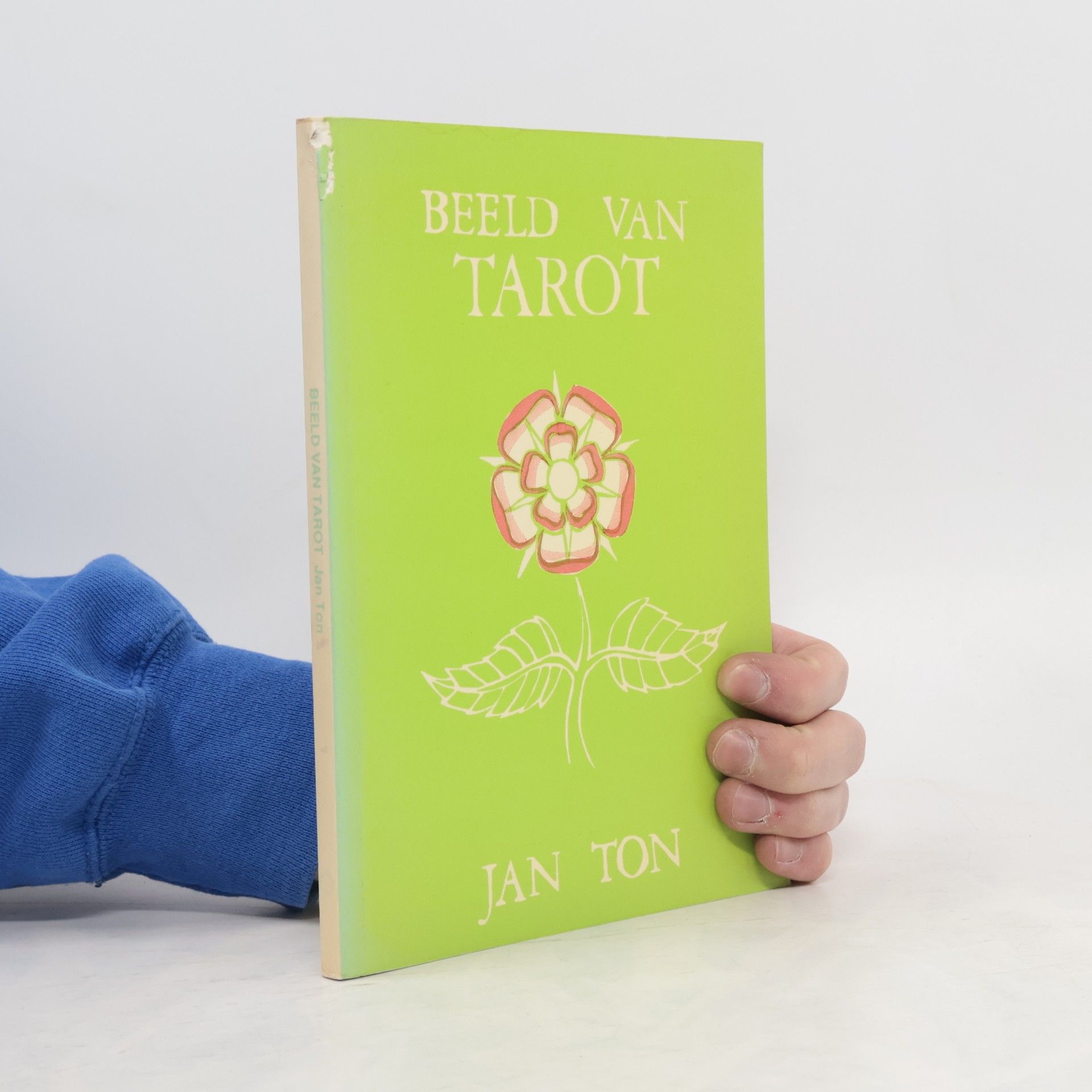 Jan Ton Beeld van Tarot