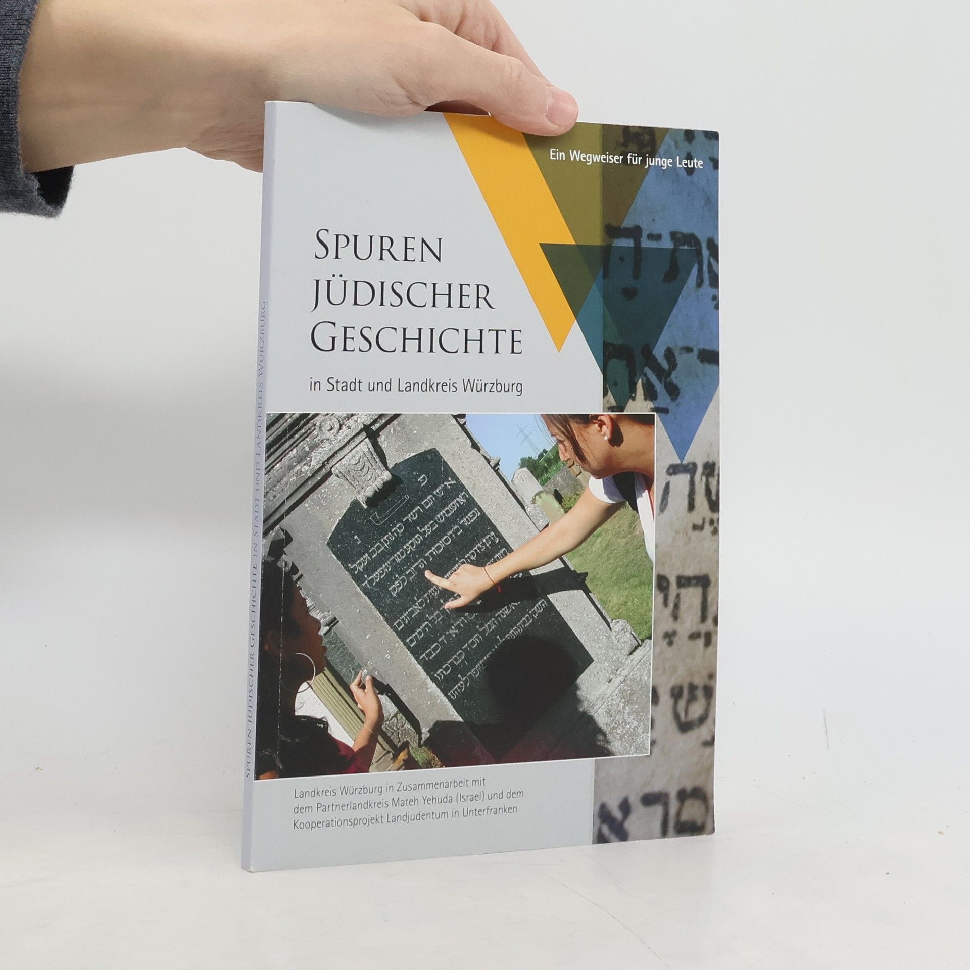 Kolektív autorov Spuren jüdischer Geschichte in Stadt und Landkreis Würzburg
