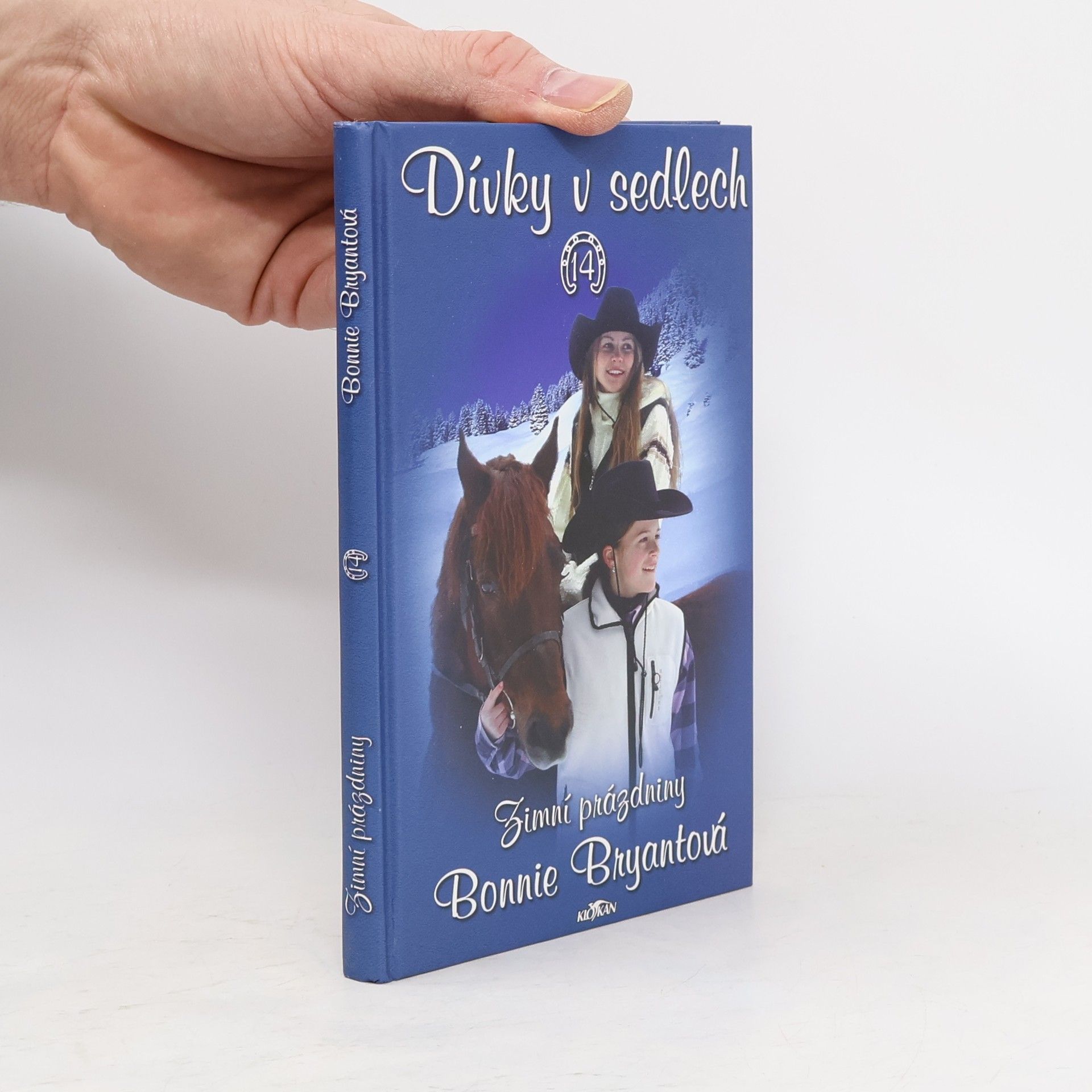 Bonnie Bryant Dívky v sedlech. 14, Zimní prázdniny