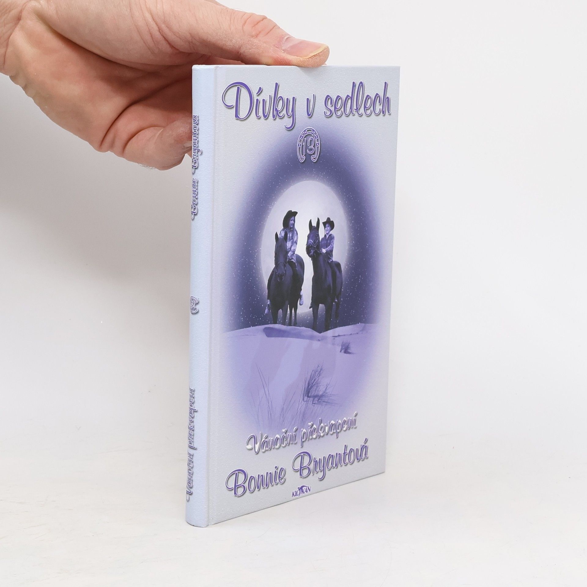 Bonnie Bryant Dívky v sedlech. 13, Vánoční překvapení