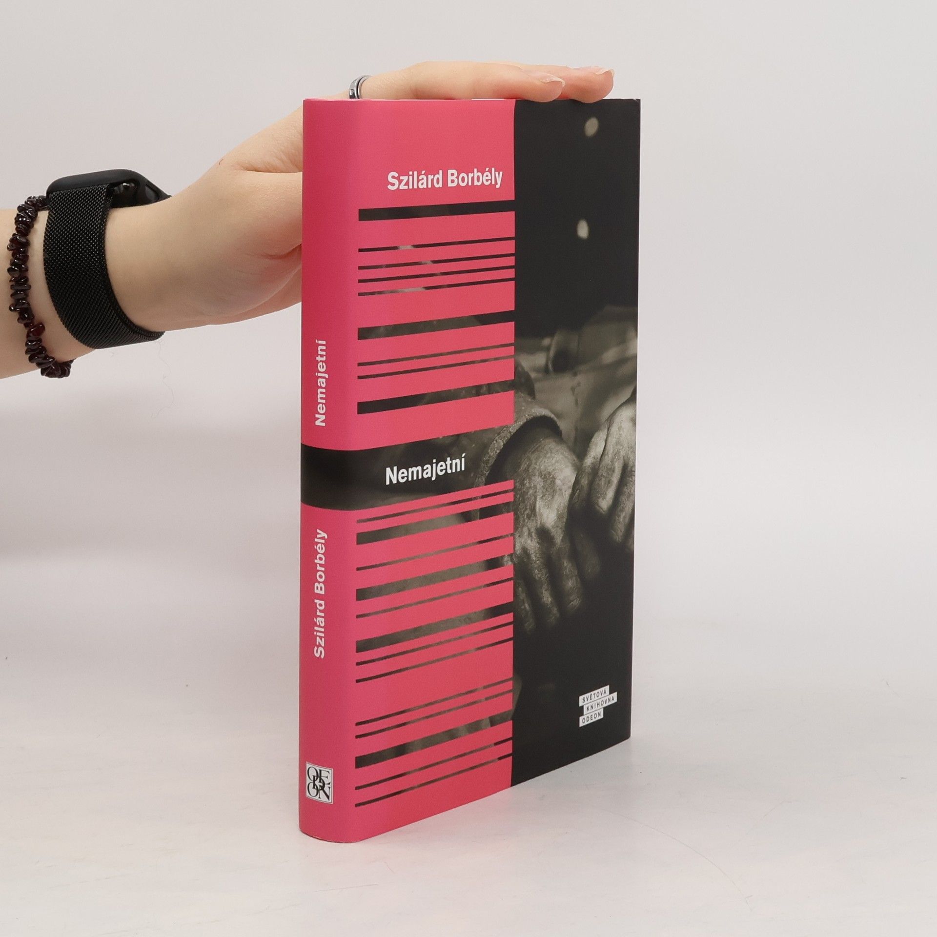 Szilárd Borbély Nemajetní