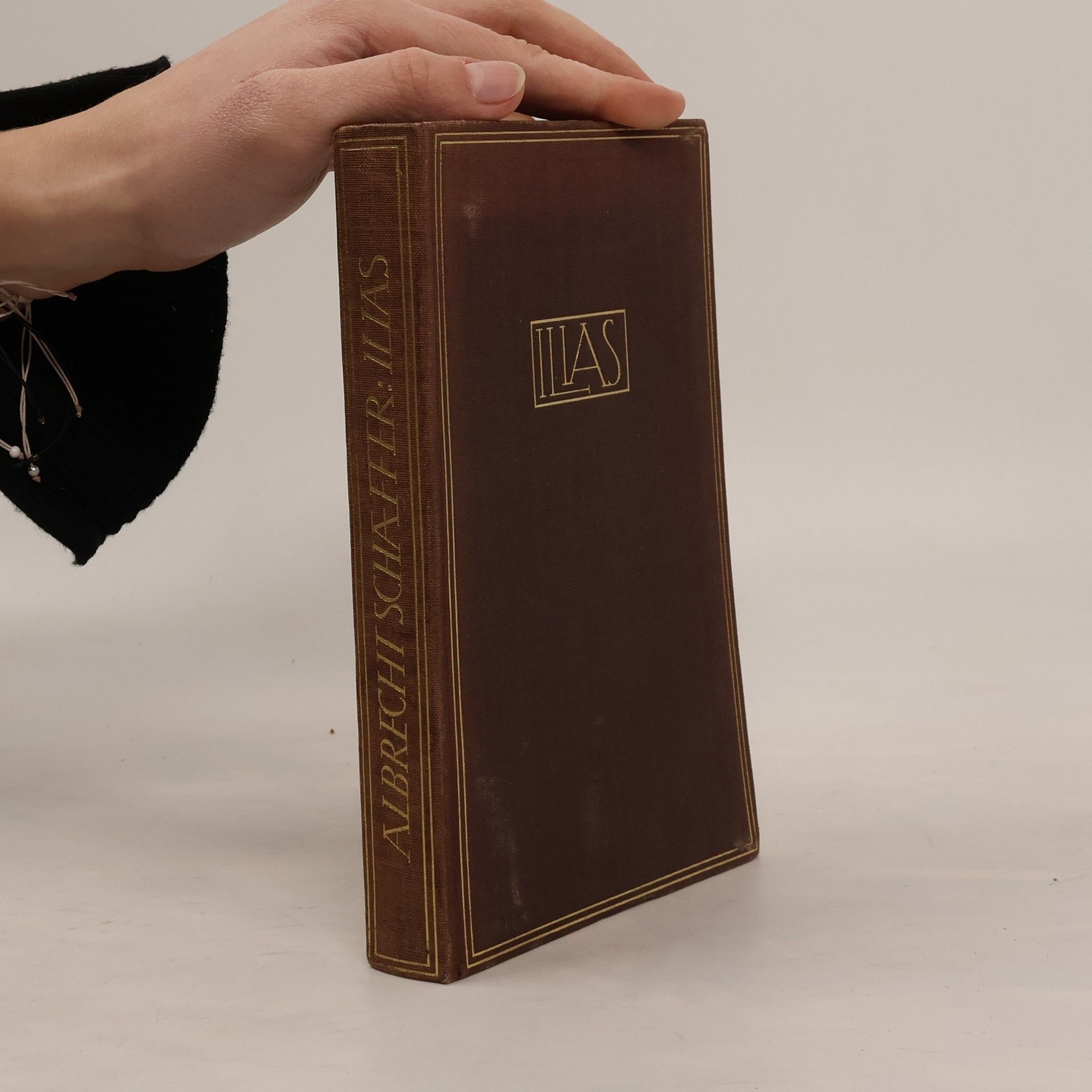 Albrecht Schaeffer  Die Ilias