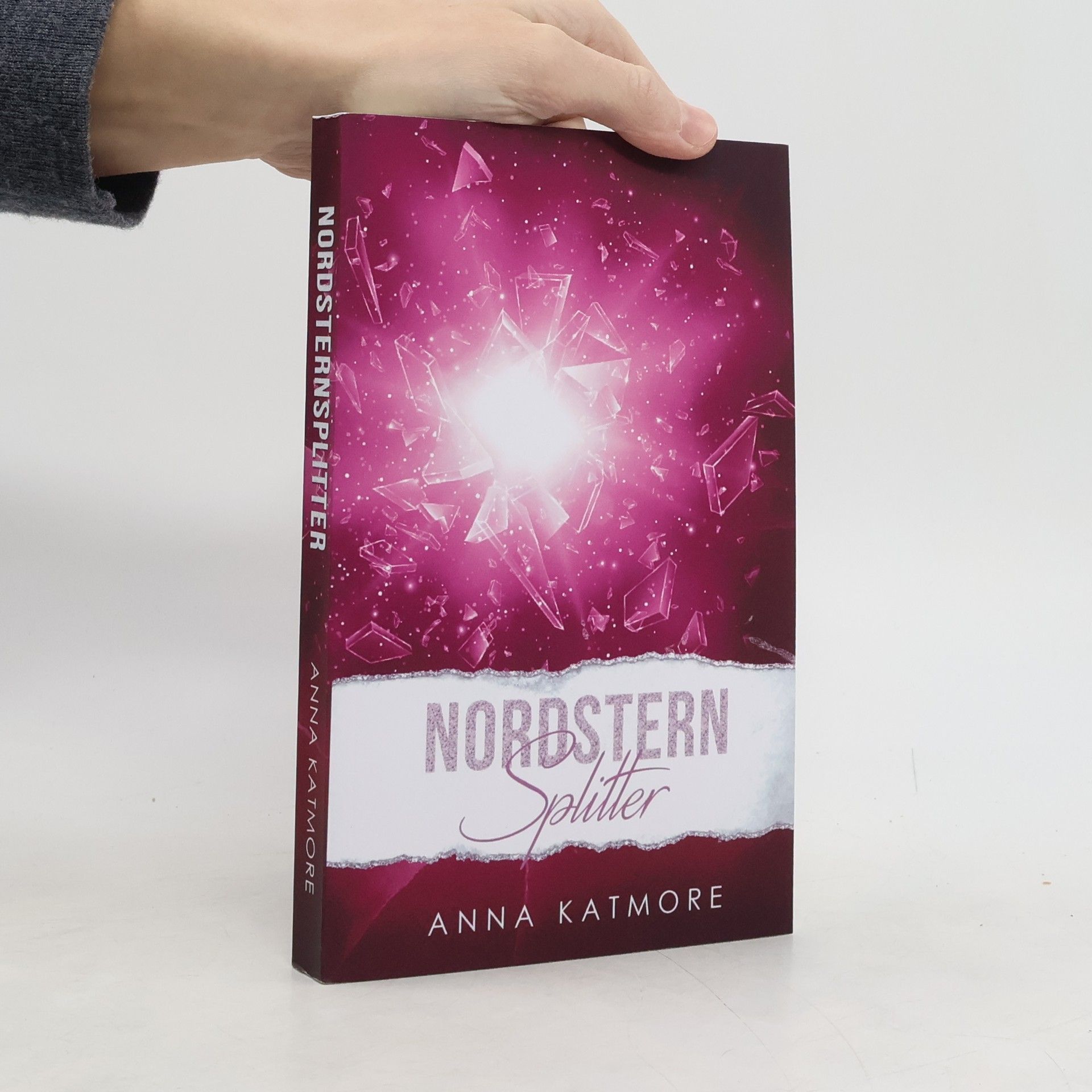 Liebe im Schnee: Nordsternsplitter