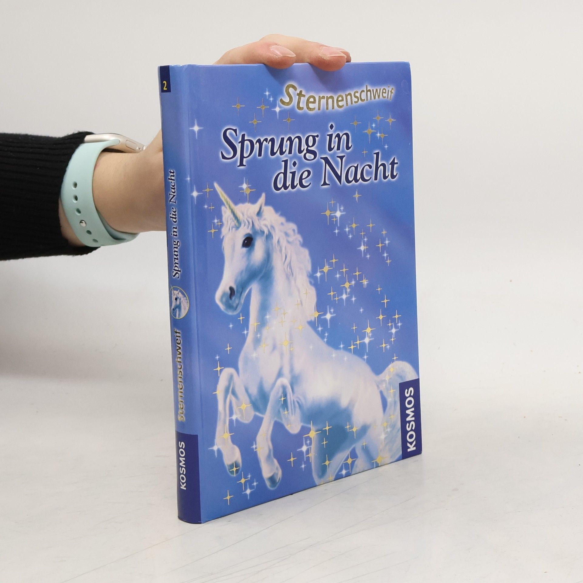 Linda Chapman Sprung in die Nacht