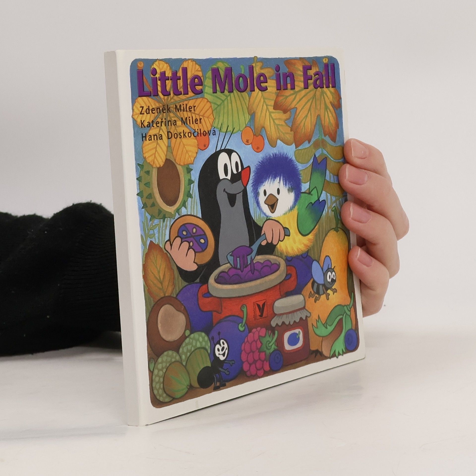 AA.VV. Little mole in fall
