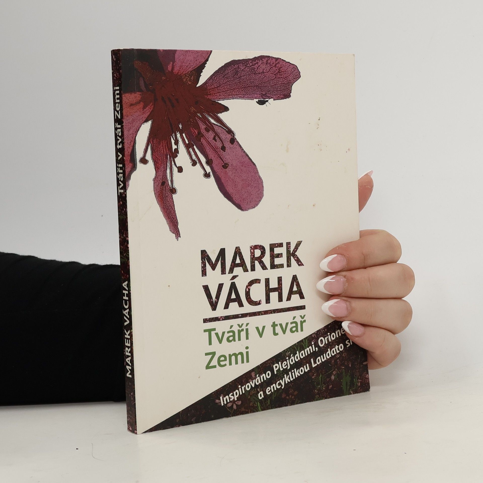 Marek Vácha Tváří v tvář Zemi