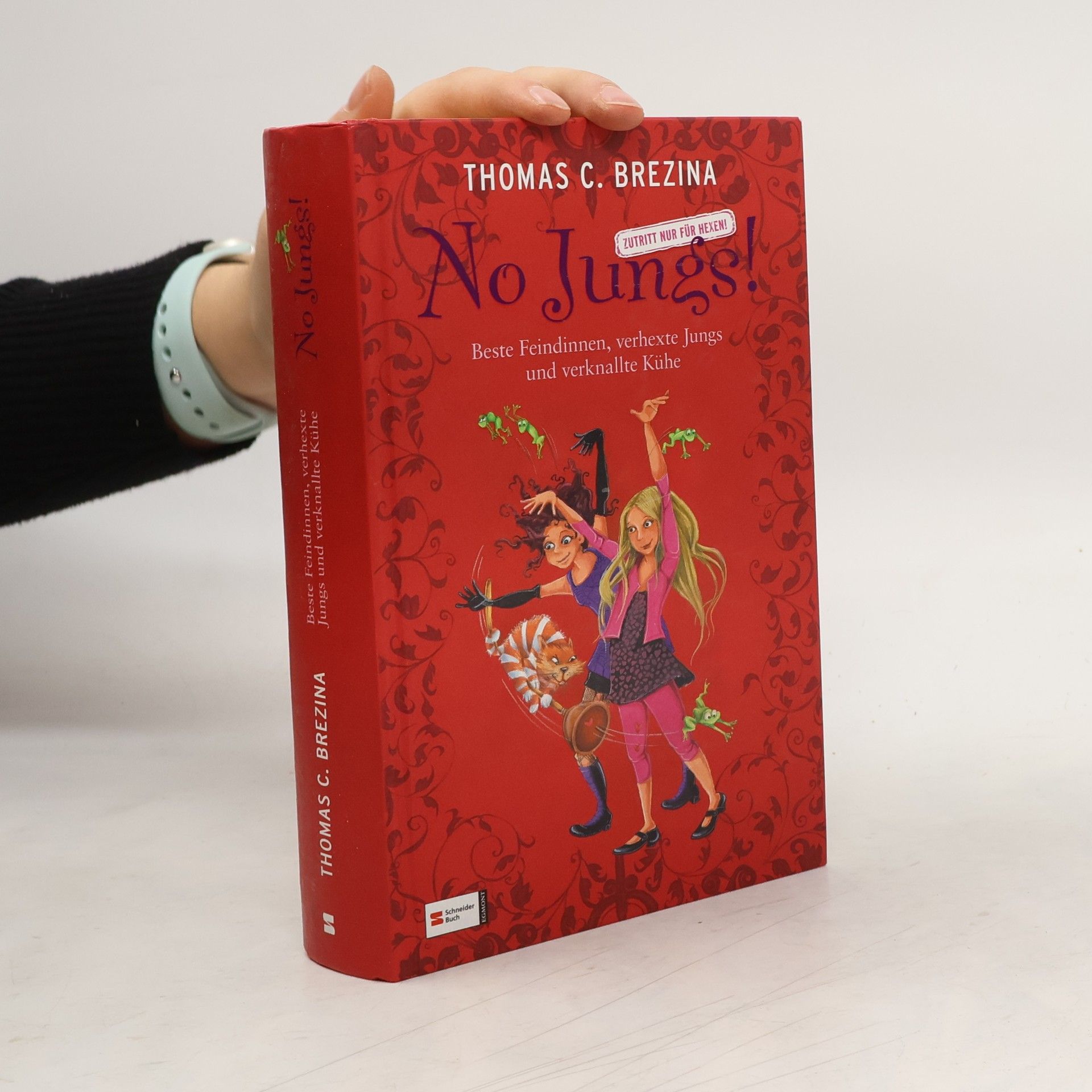 Thomas Brezina No Jungs! - Beste Feindinnen, verhexte Jungs und verknallte Kühe