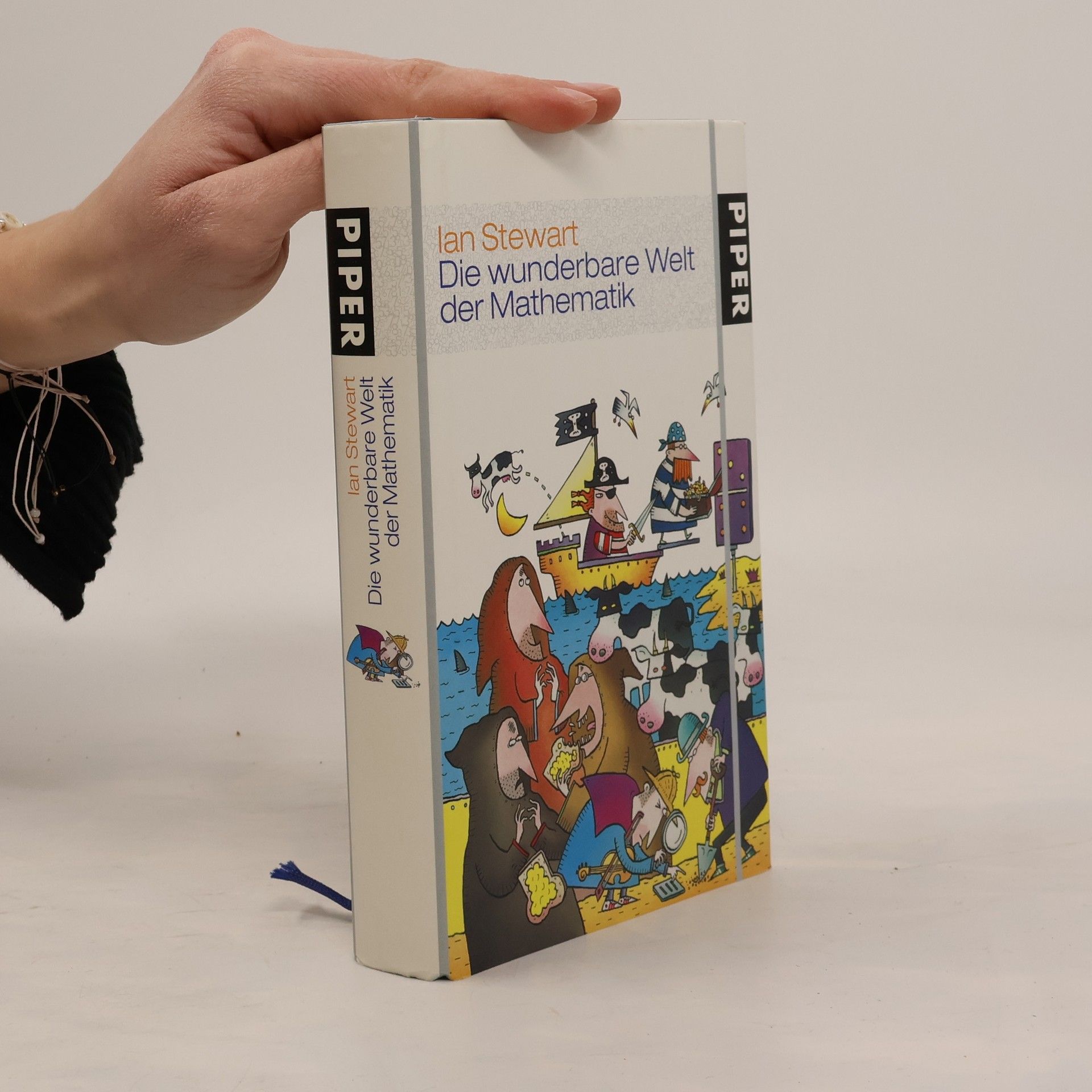 Ian Stewart Die wunderbare Welt der Mathematik