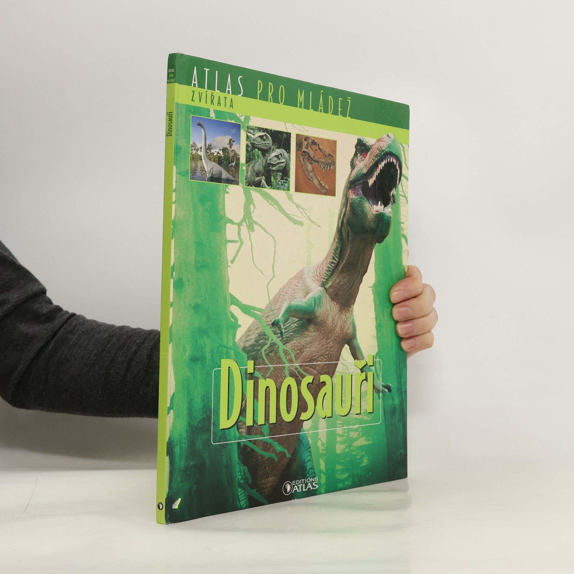 Kolektív autorov Dinosauři. Atlas pro mládež