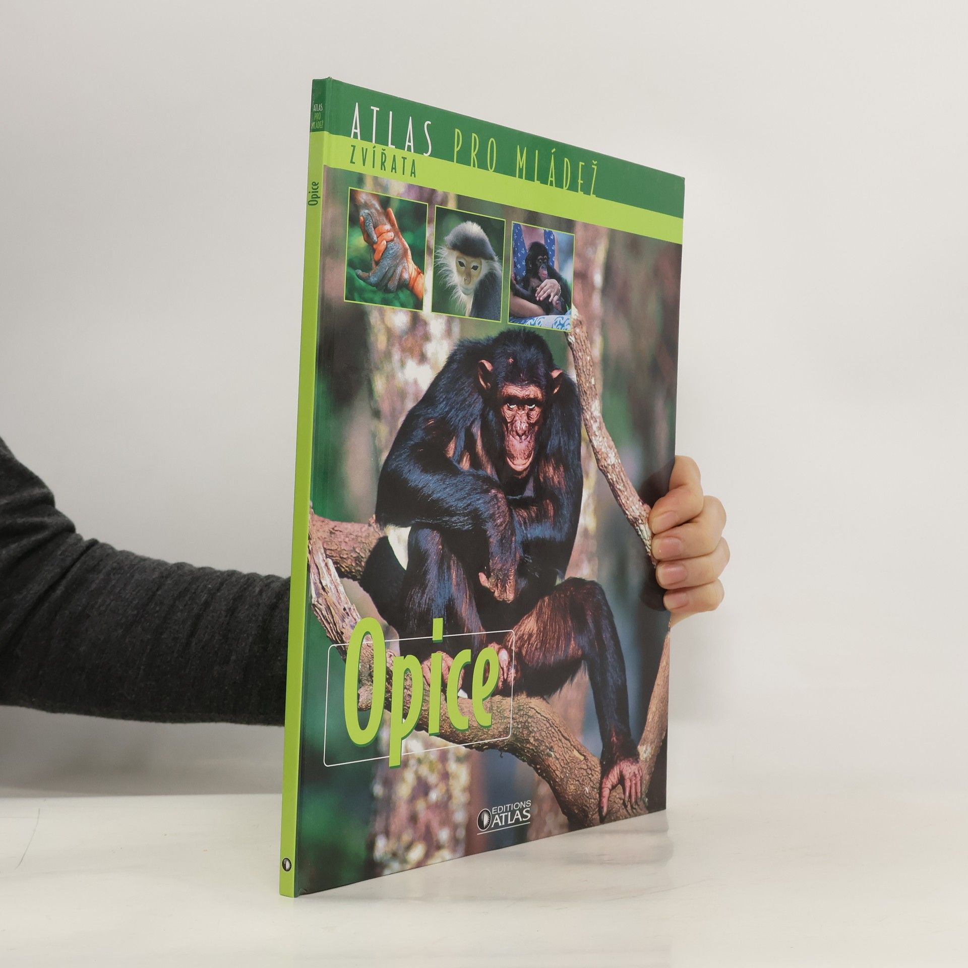 Various authors Opice