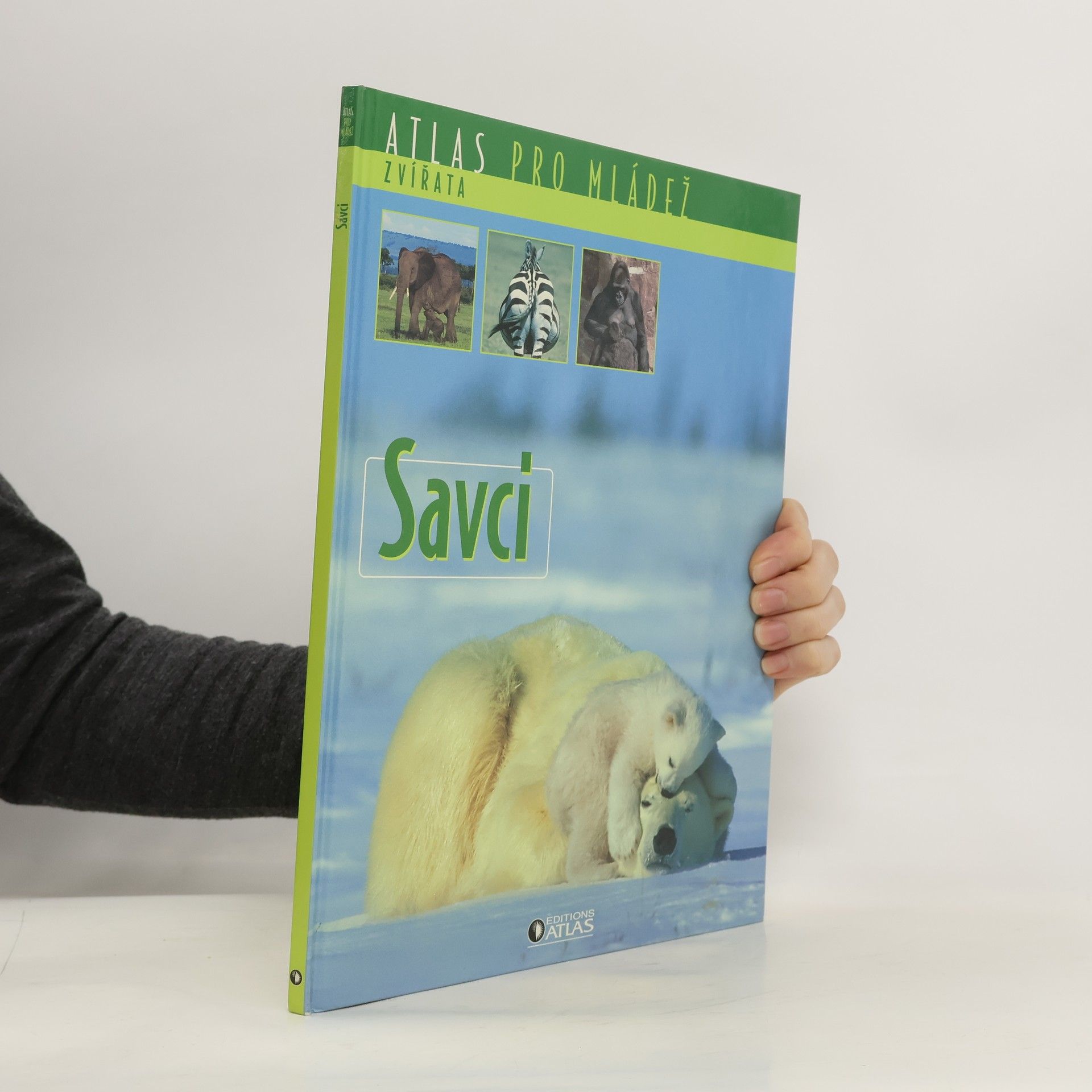 Various authors Savci