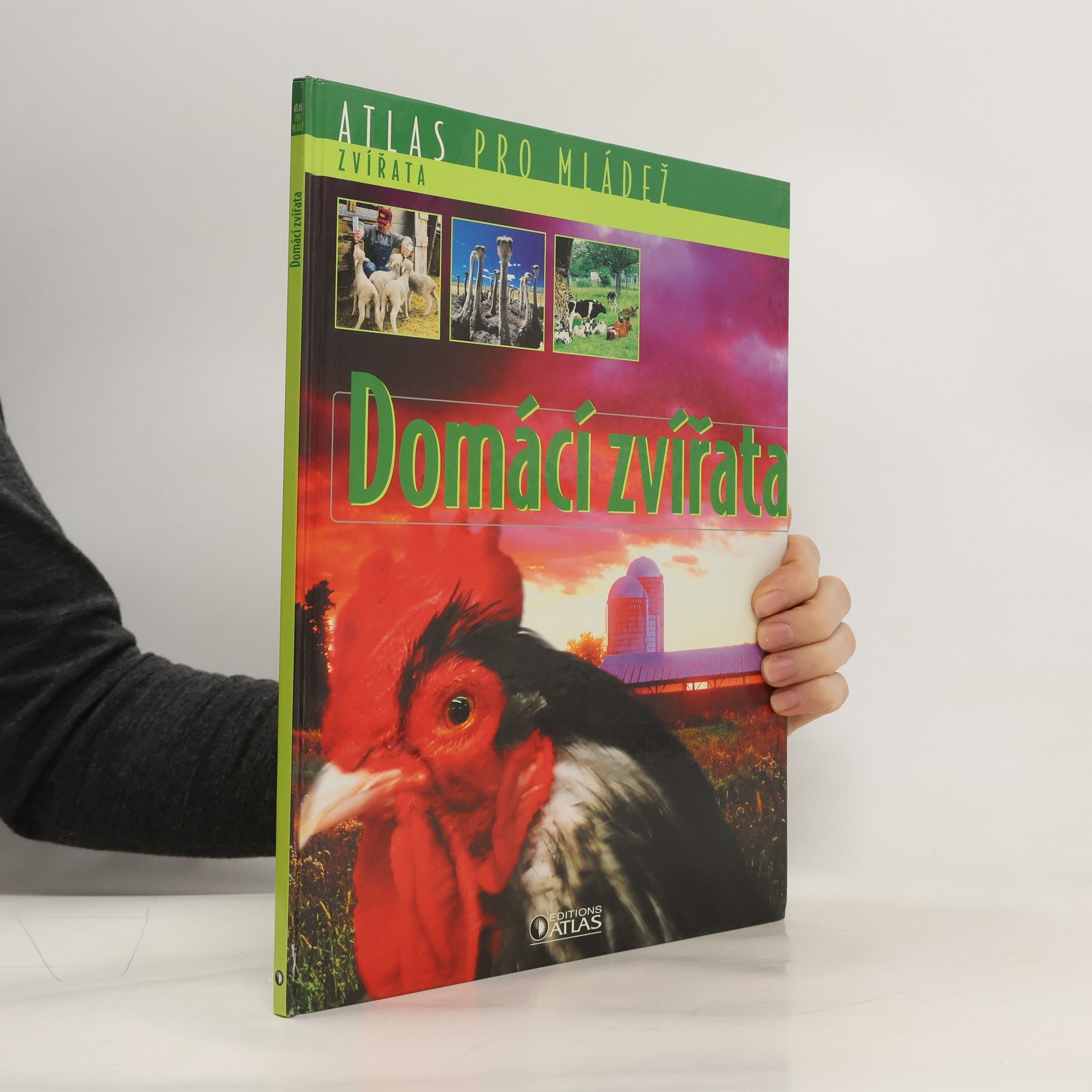 Kolektív autorov Domácí zvířata