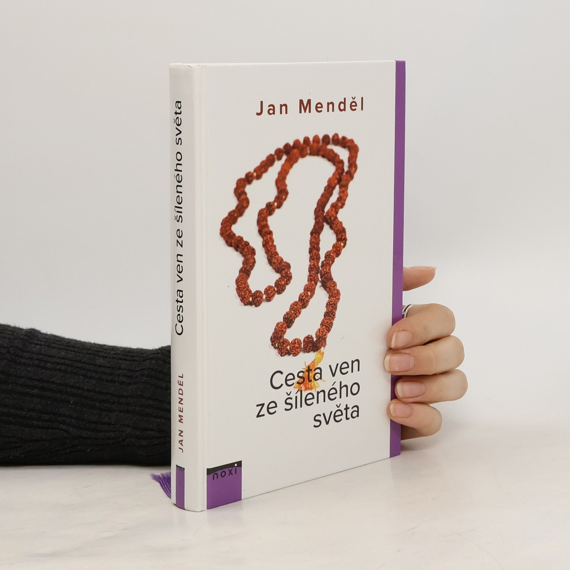 Jan Menděl Cesta ven ze šíleného světa