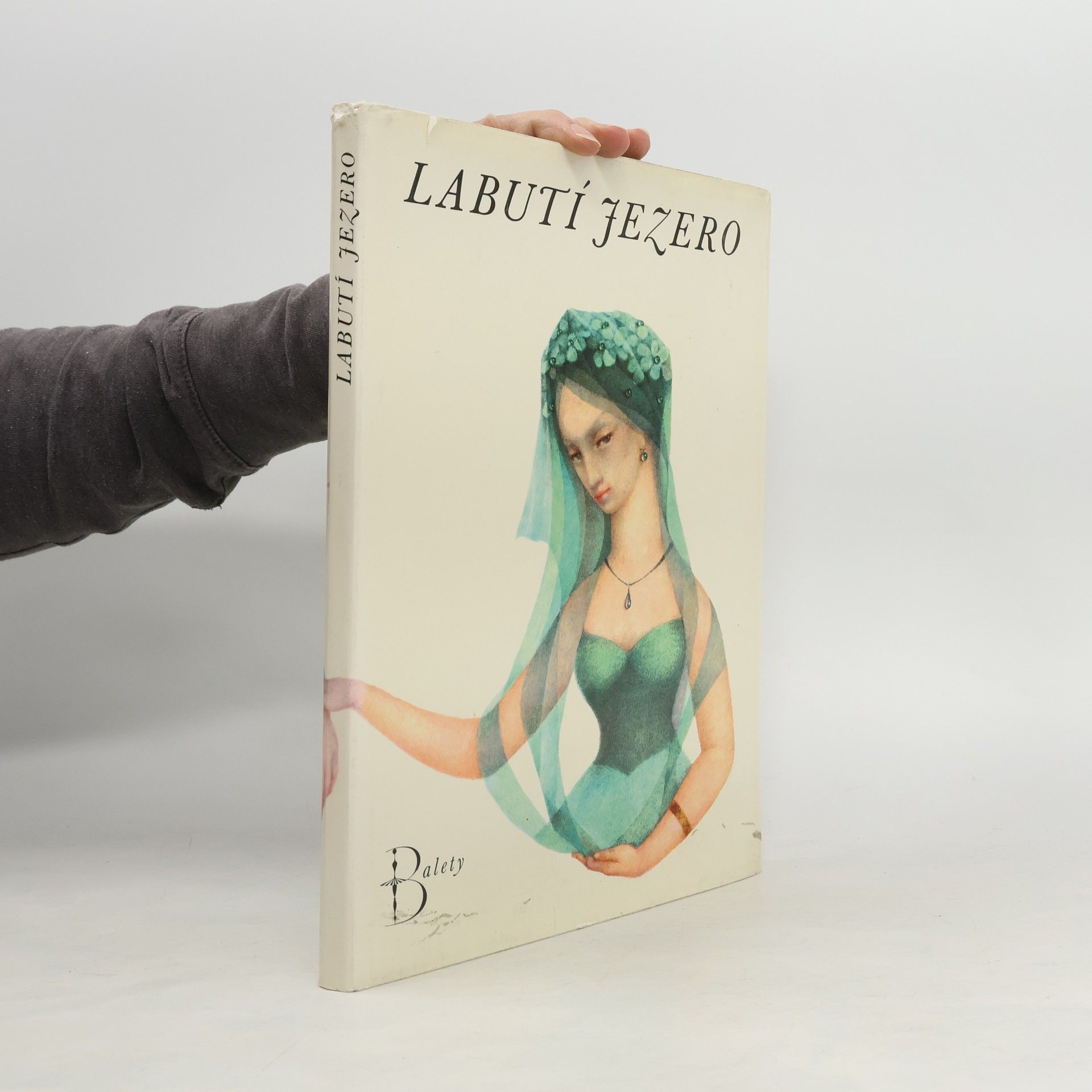 Kamil Bednář Labutí jezero