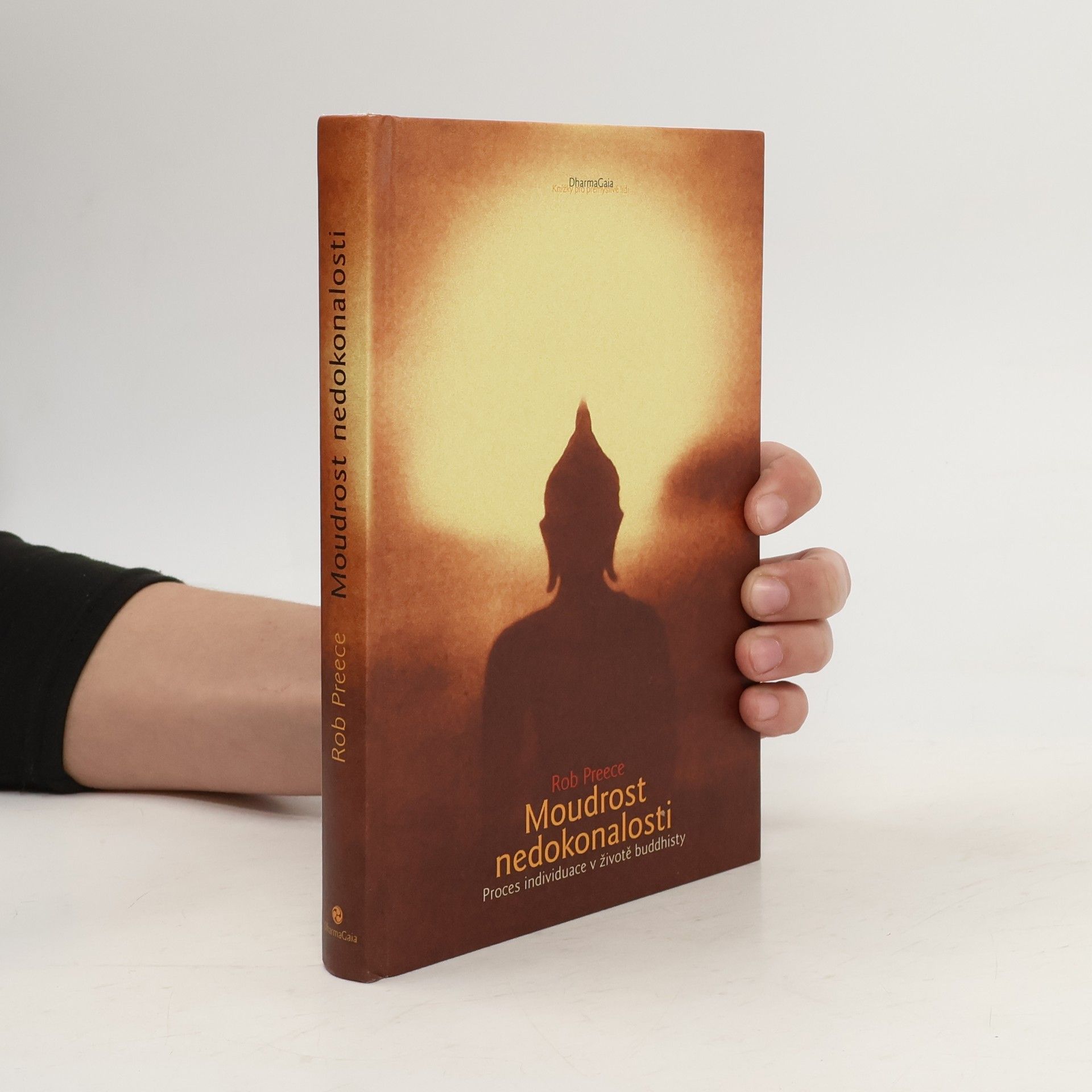 Rob Preece Moudrost nedokonalosti