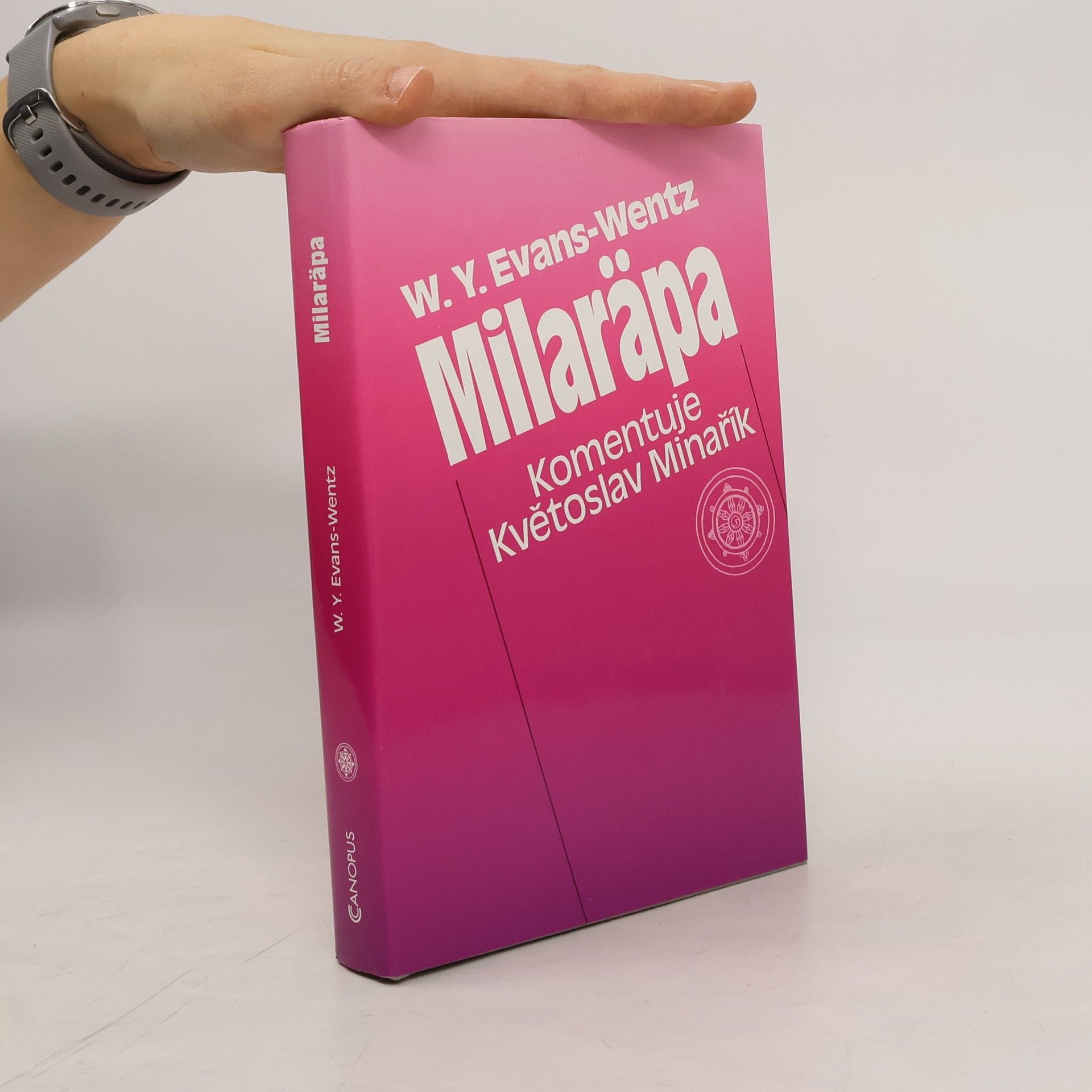 Milaräpa. Velký tibetský jógin