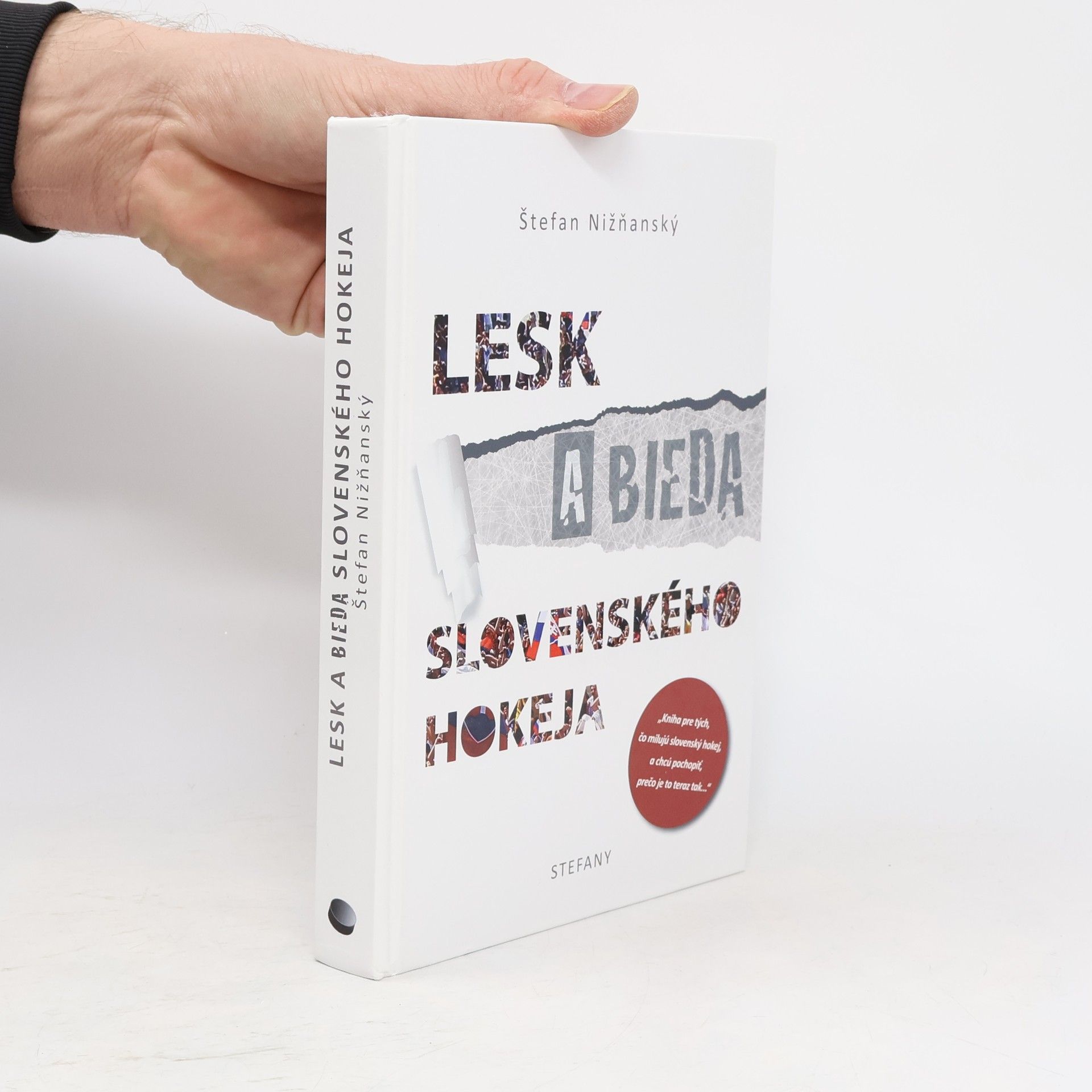 Lesk a bieda slovenského hokeja