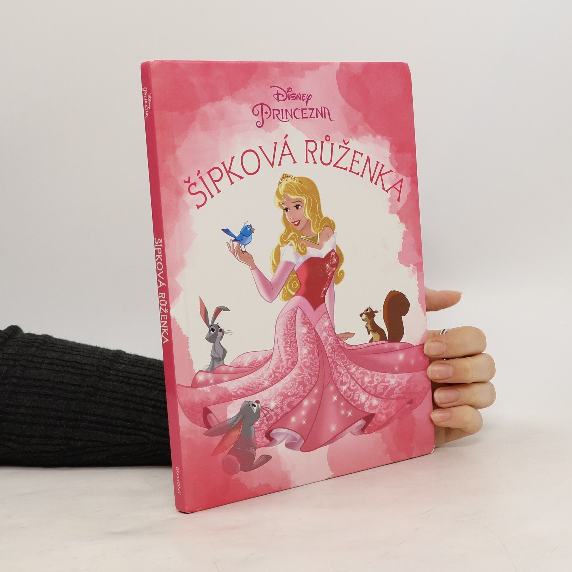 Disney Storybook Artists Šípková Růženka