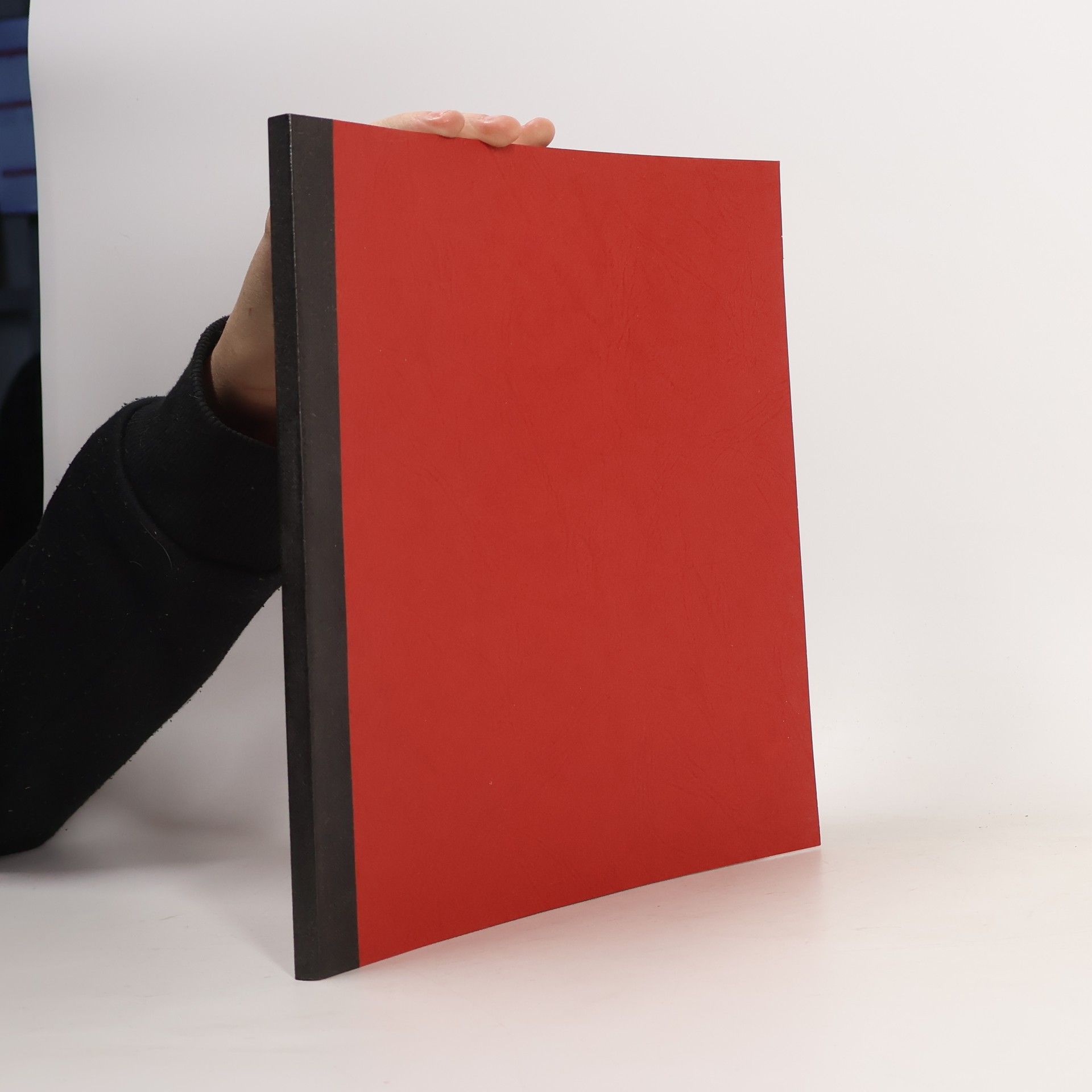 Es ist mir eingefallen