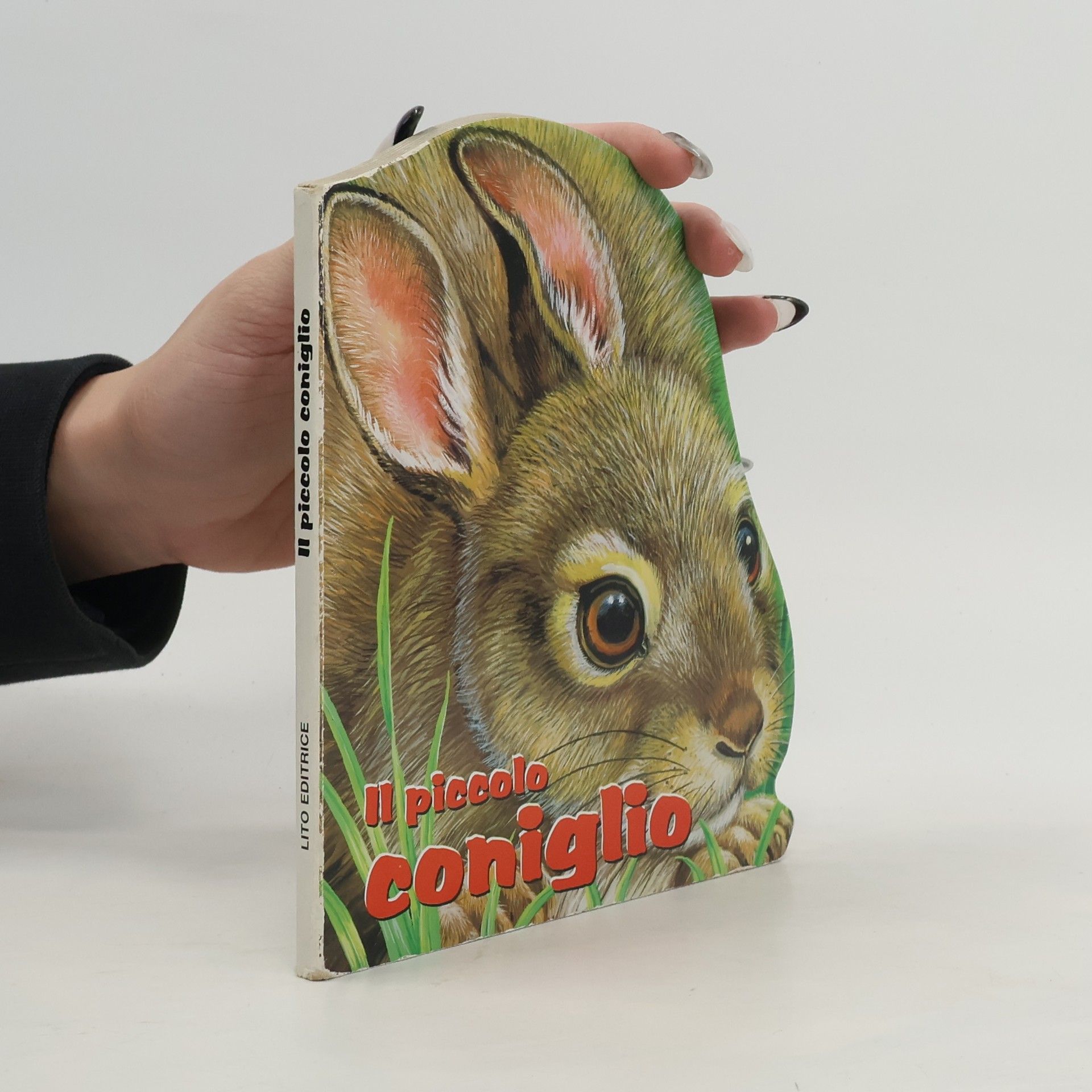 AA.VV. Il piccolo coniglio