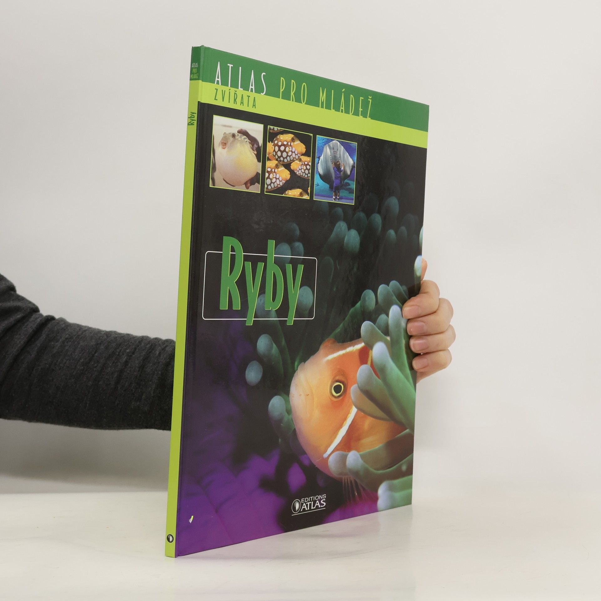 Various authors Ryby