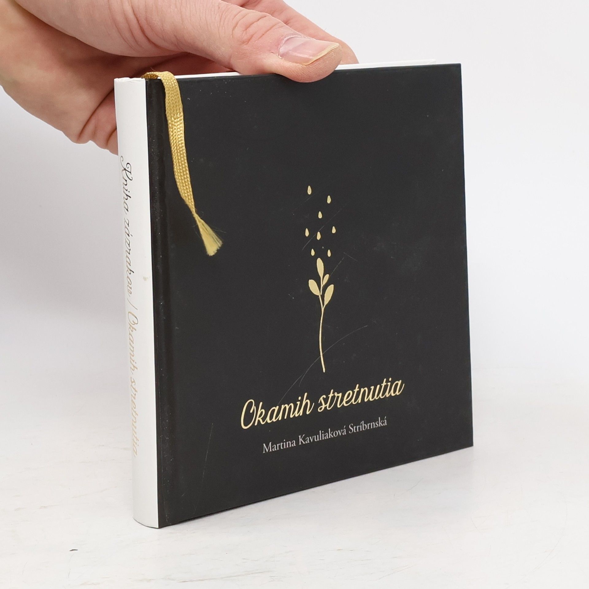 Martina Kavuliaková Stríbrnská Kniha zázrakov / Okamih stretnutia