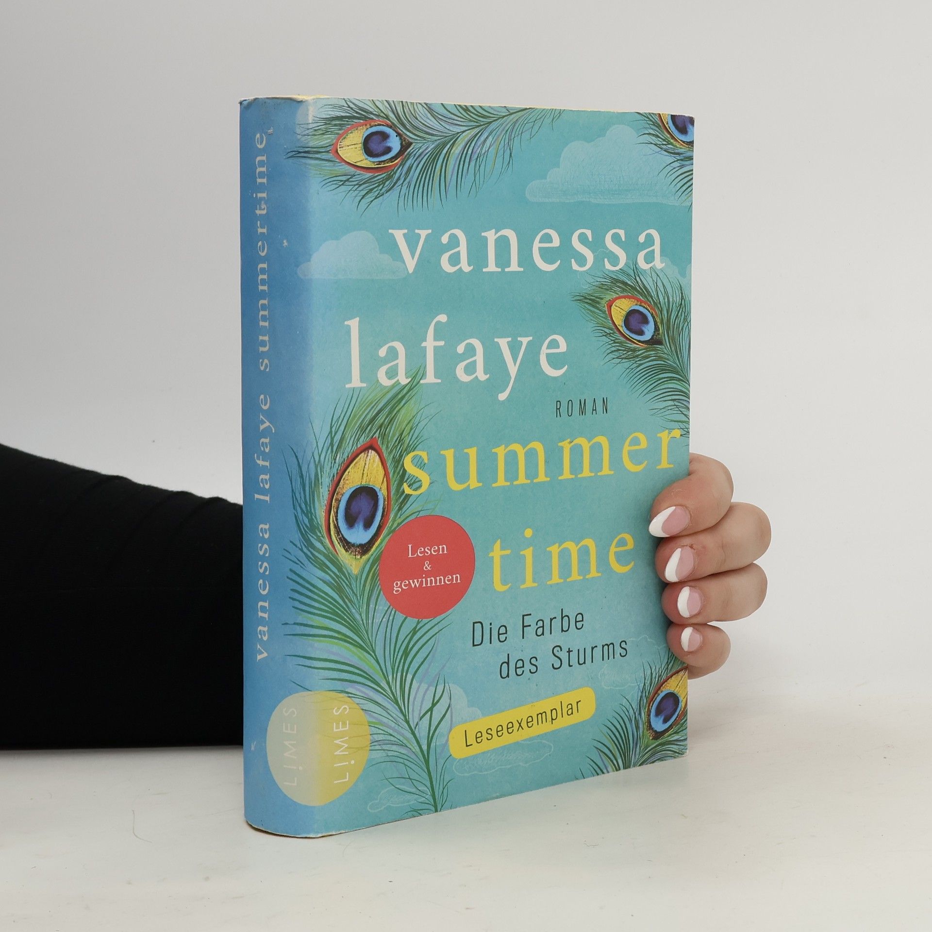 Vanessa Lafaye Summertime - die Farbe des Sturms