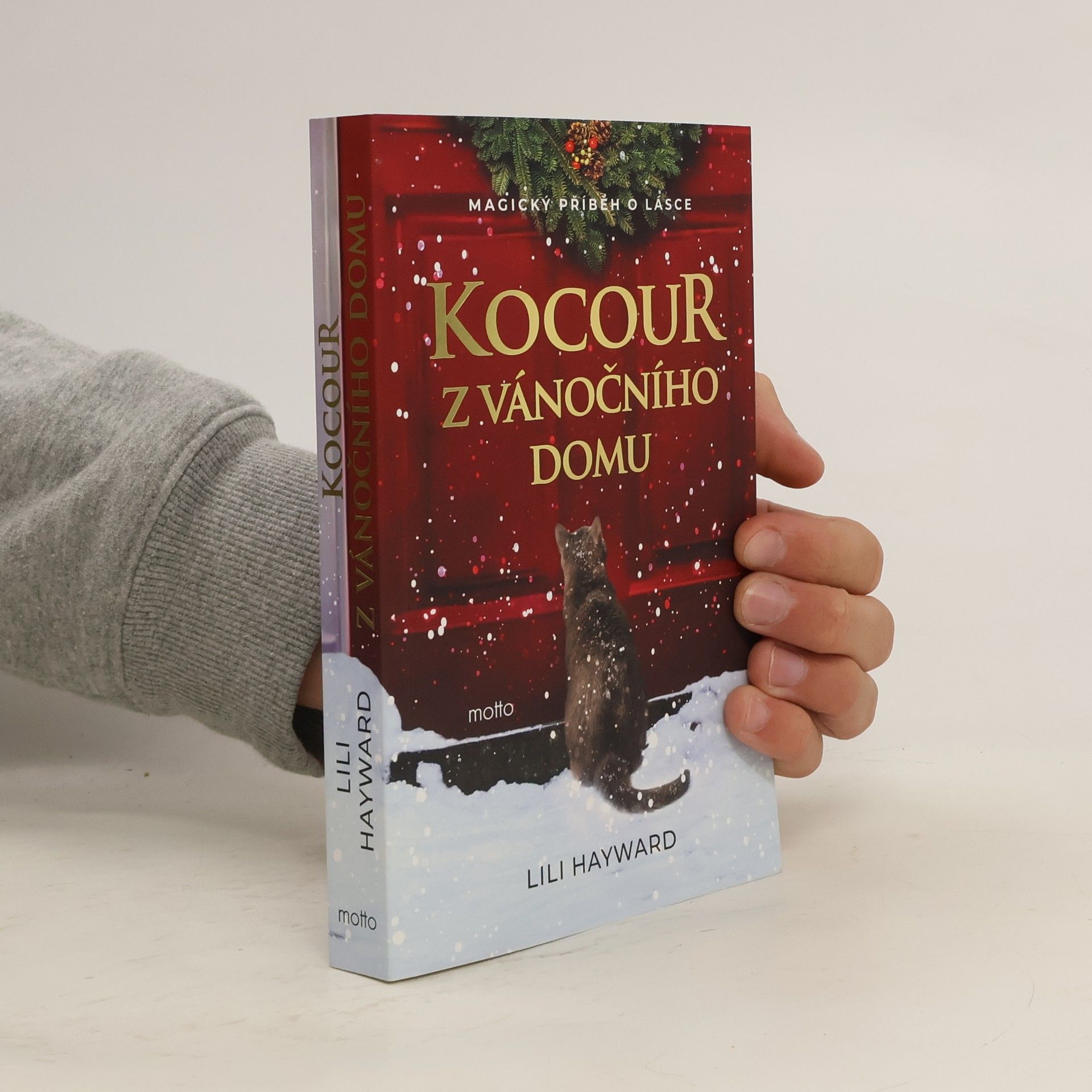 Kocour z vánočního domu