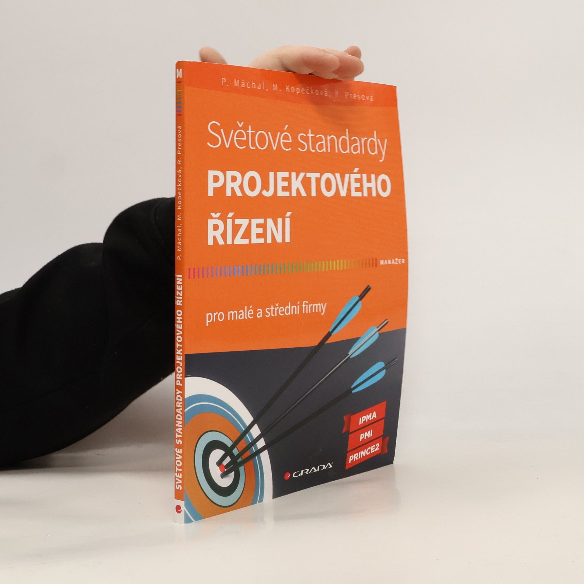 Pavel Máchal Světové standardy projektového řízení