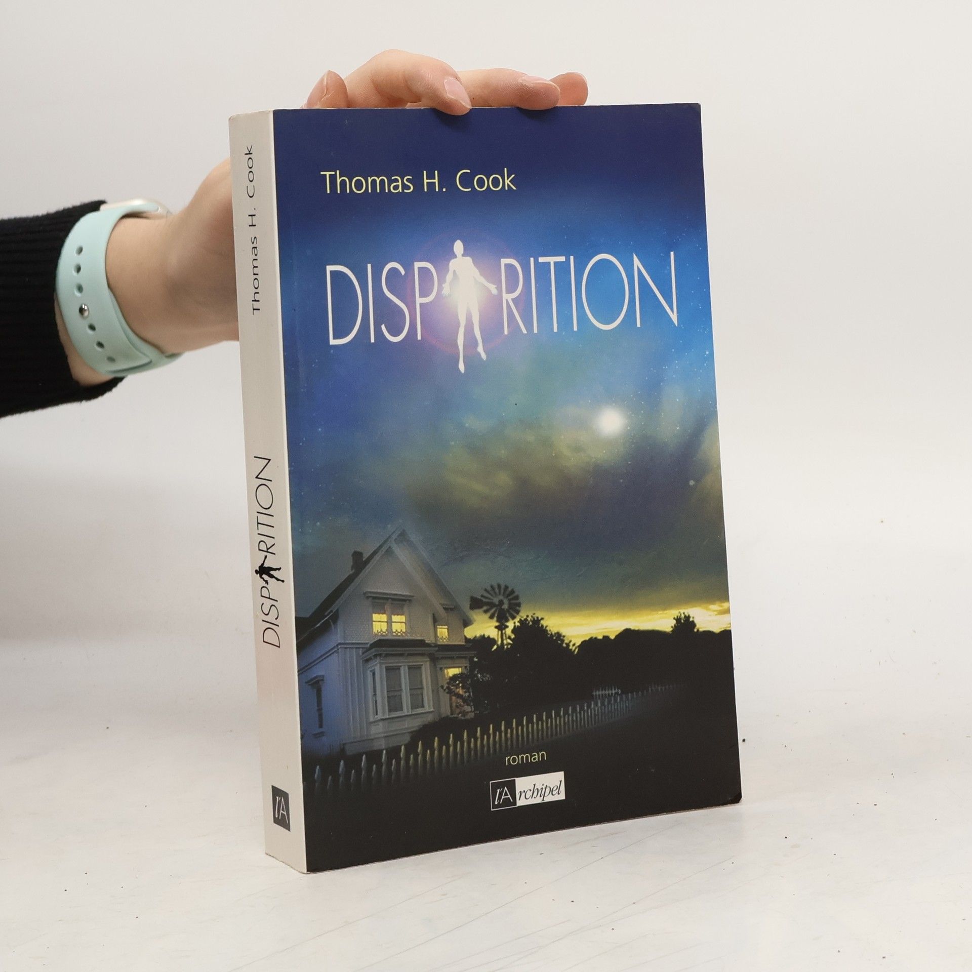 Thomas H. Cook Disparition