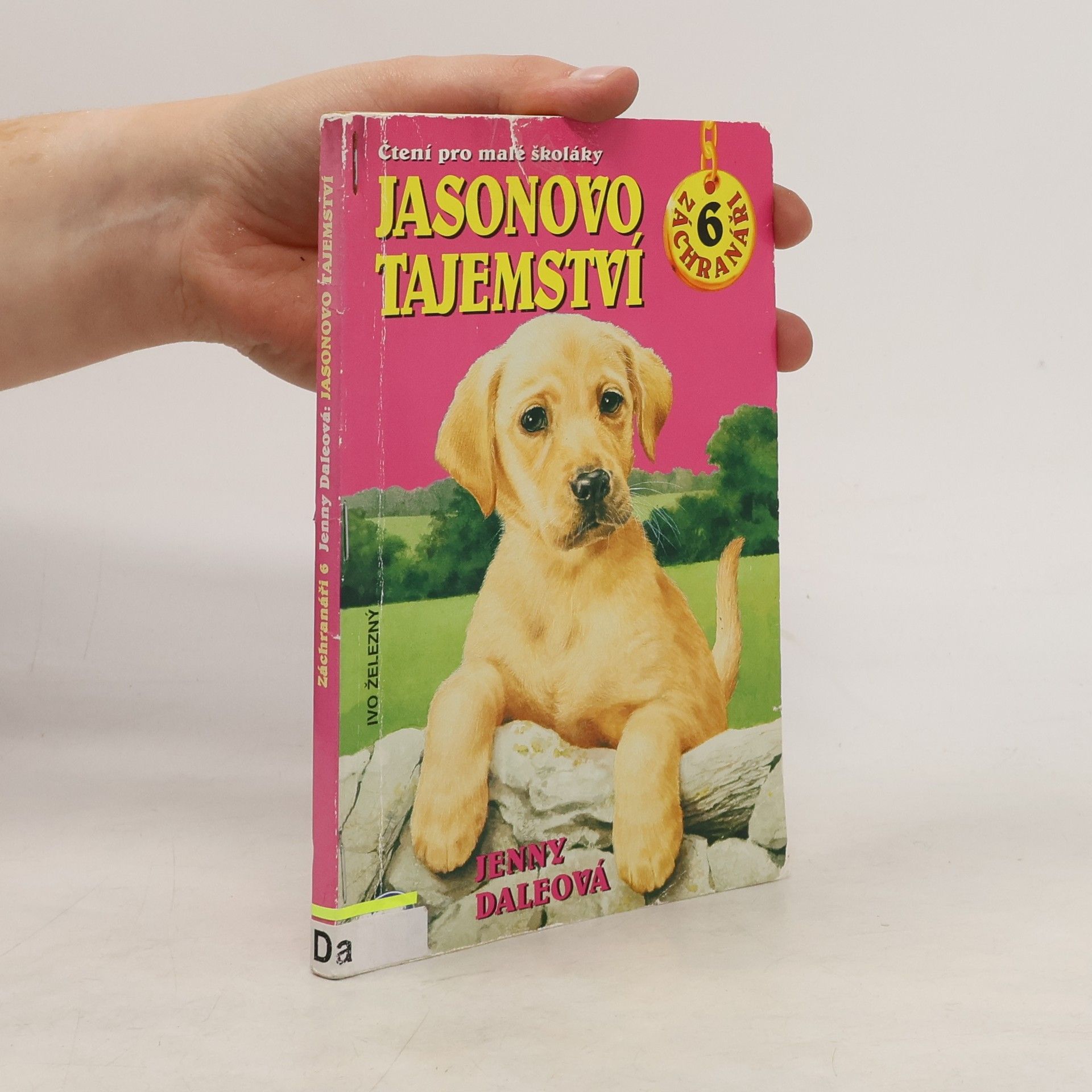 Linda Chapman Jasonovo tajemství