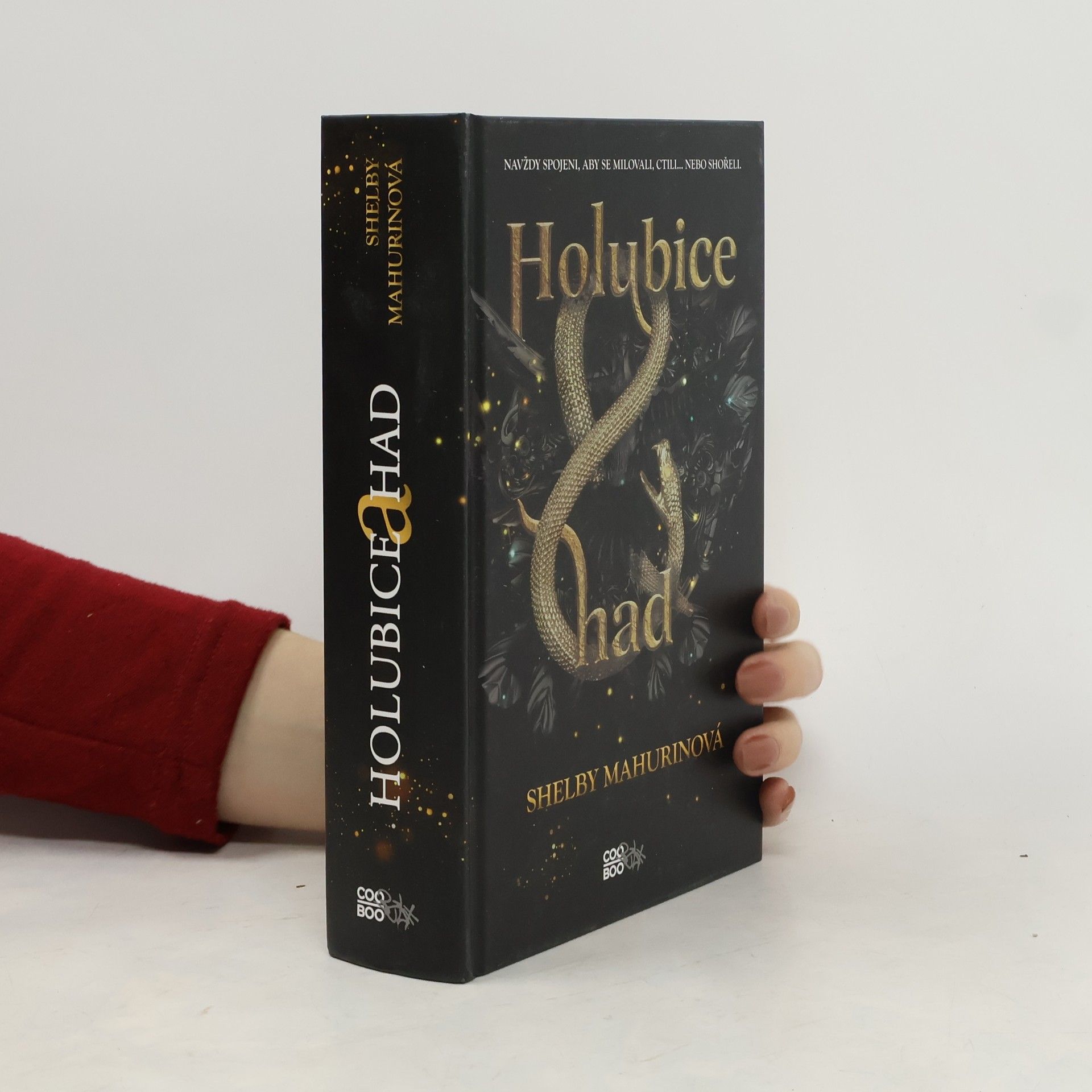 Shelby Mahurin Holubice a had