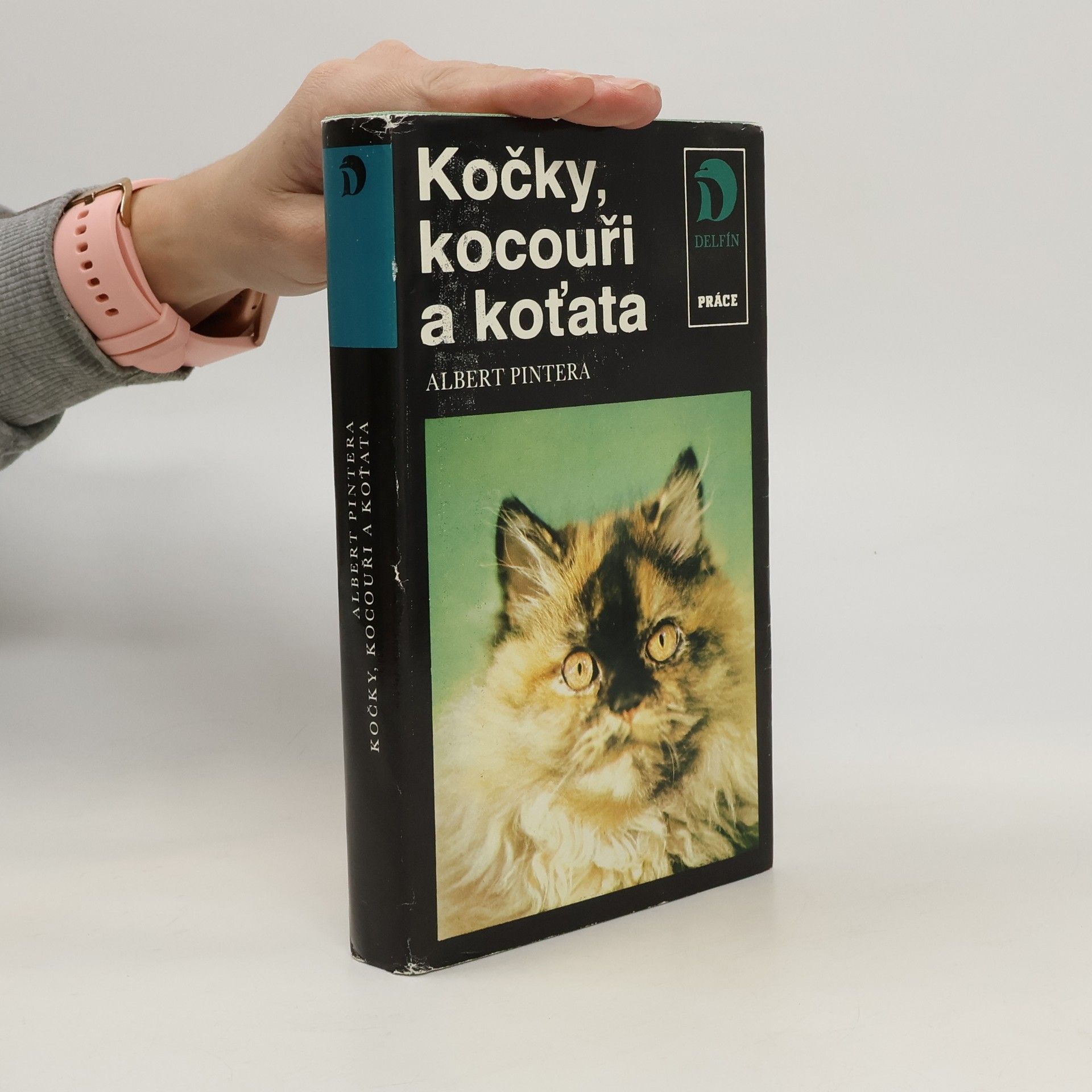 Albert Pintera Kočky, kocouři a koťata