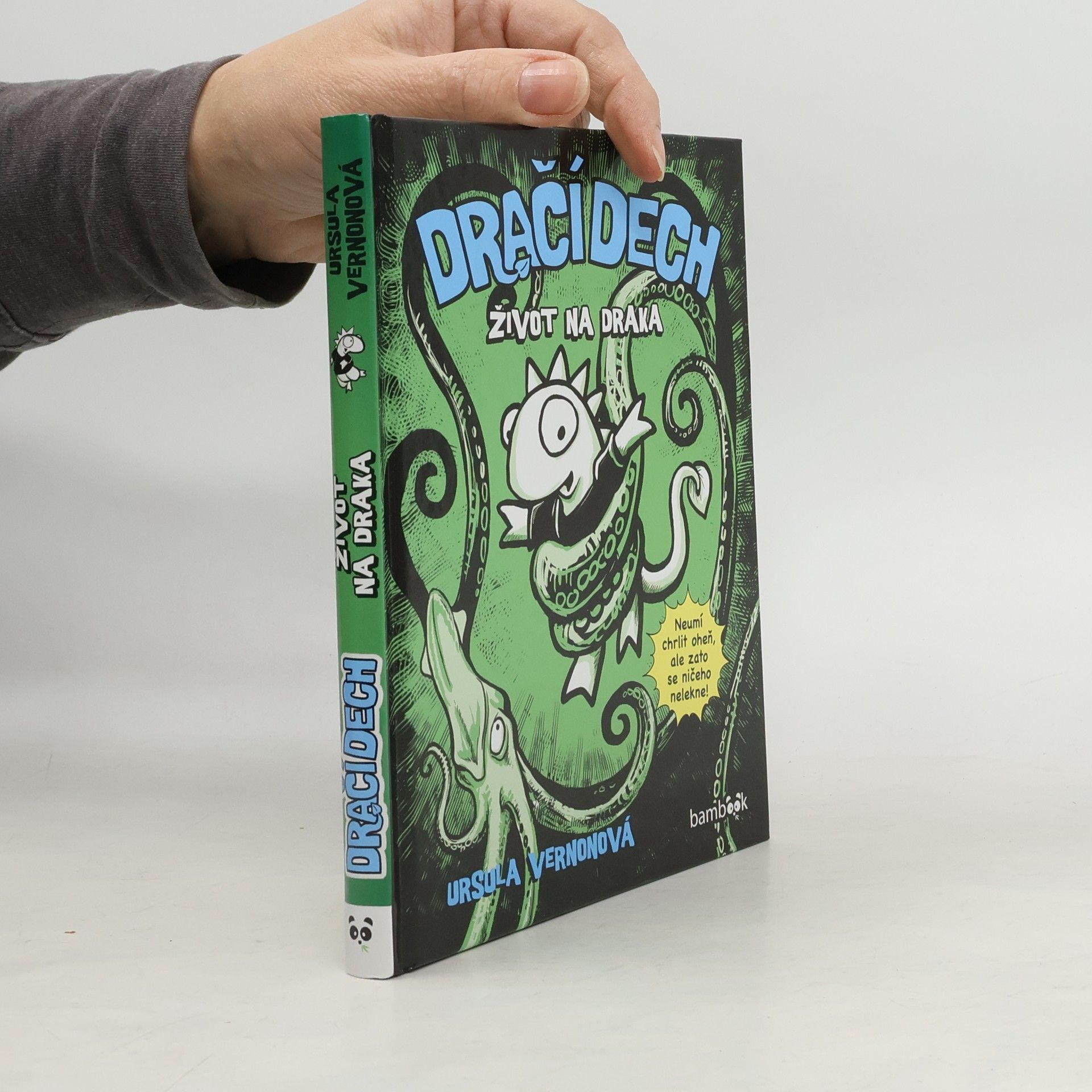 T. Kingfisher Dračí dech : život na draka