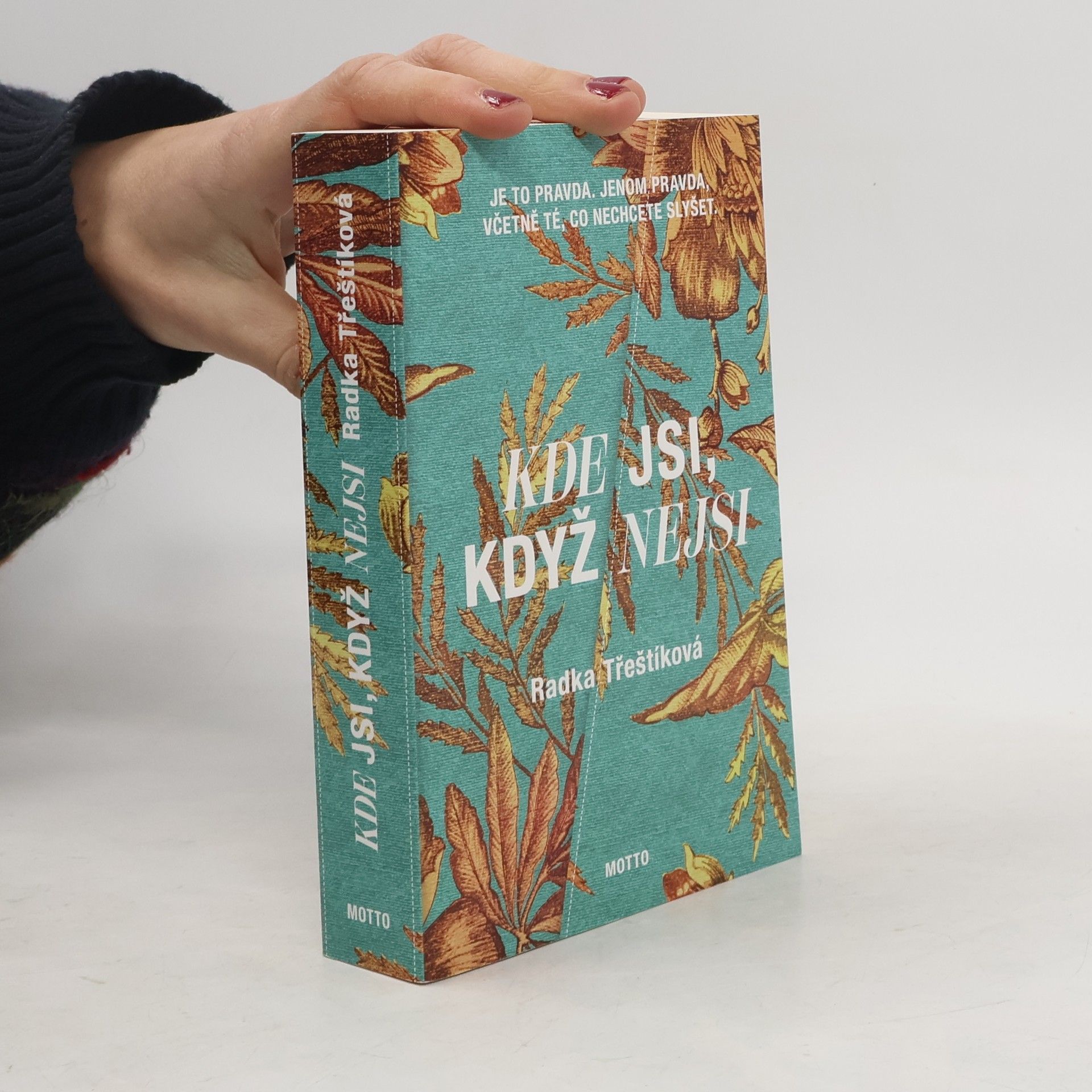 Radka Třeštíková Kde jsi, když nejsi