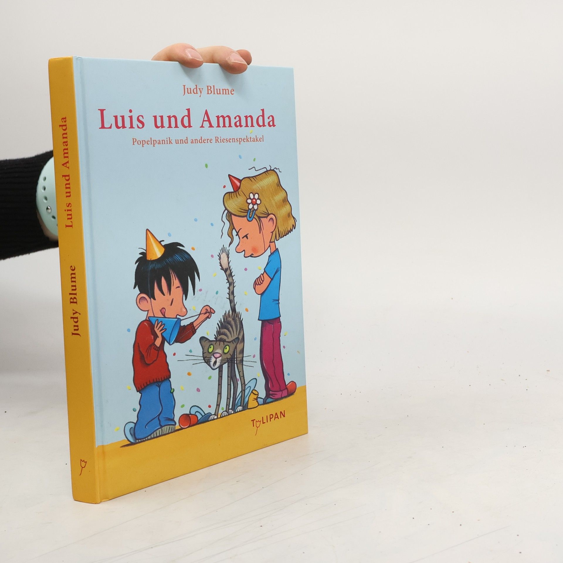 Judy Blume Luis und Amanda